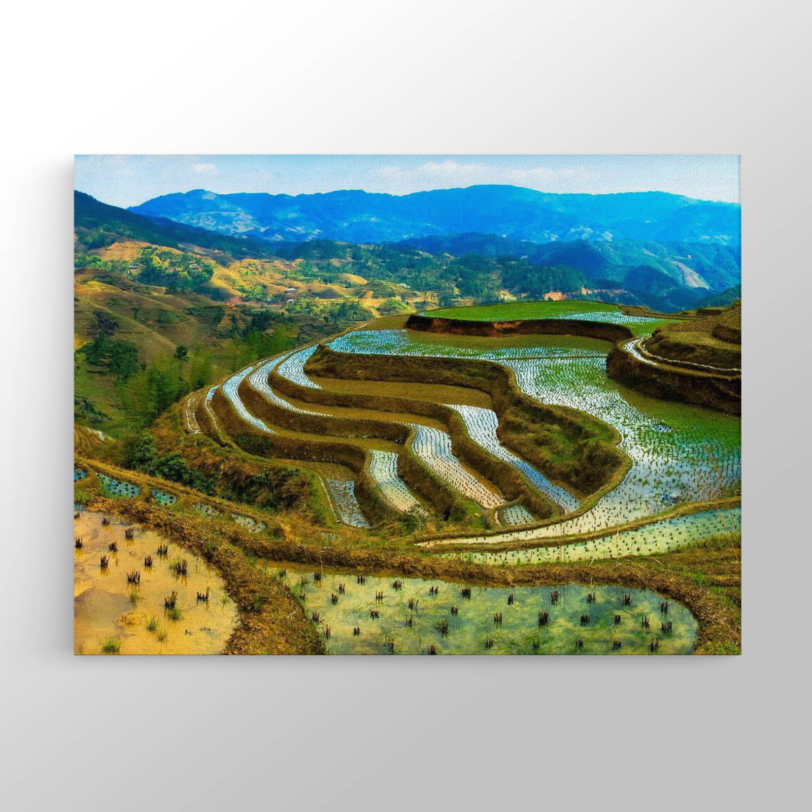 Filipin Pirinç Tarlaları Kanvas Tablo