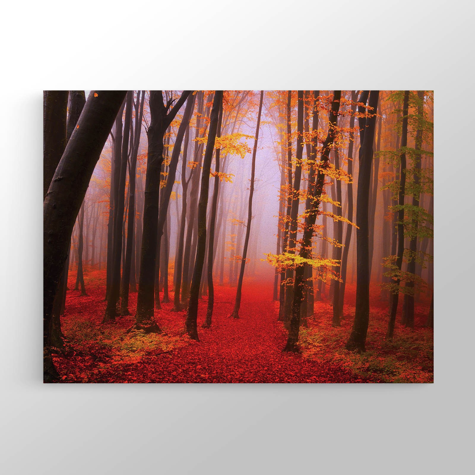 Sonbahar Kırmızı Orman Kanvas Tablo