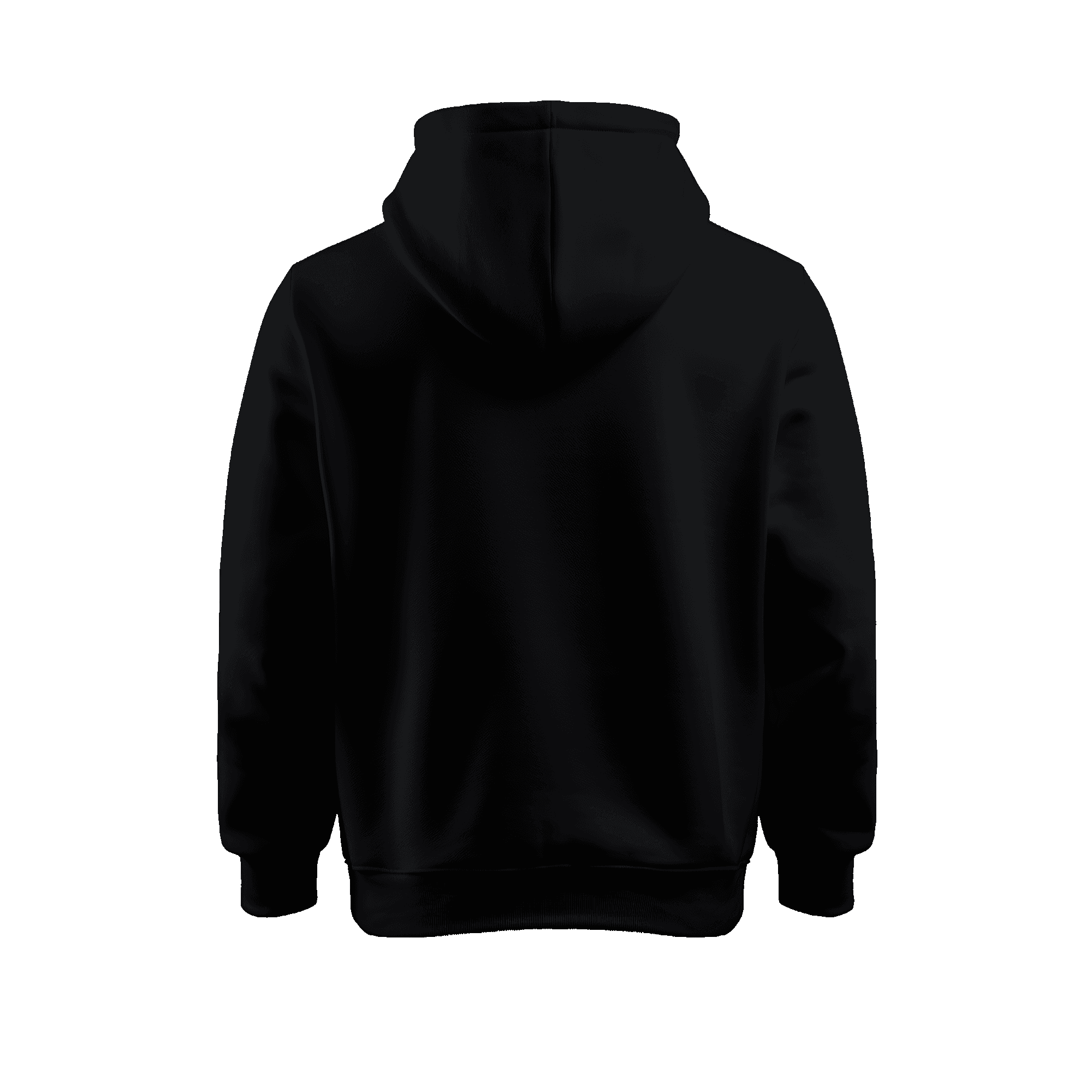 Wicold Valkryie Bird Baskılı Oversize Hoodie