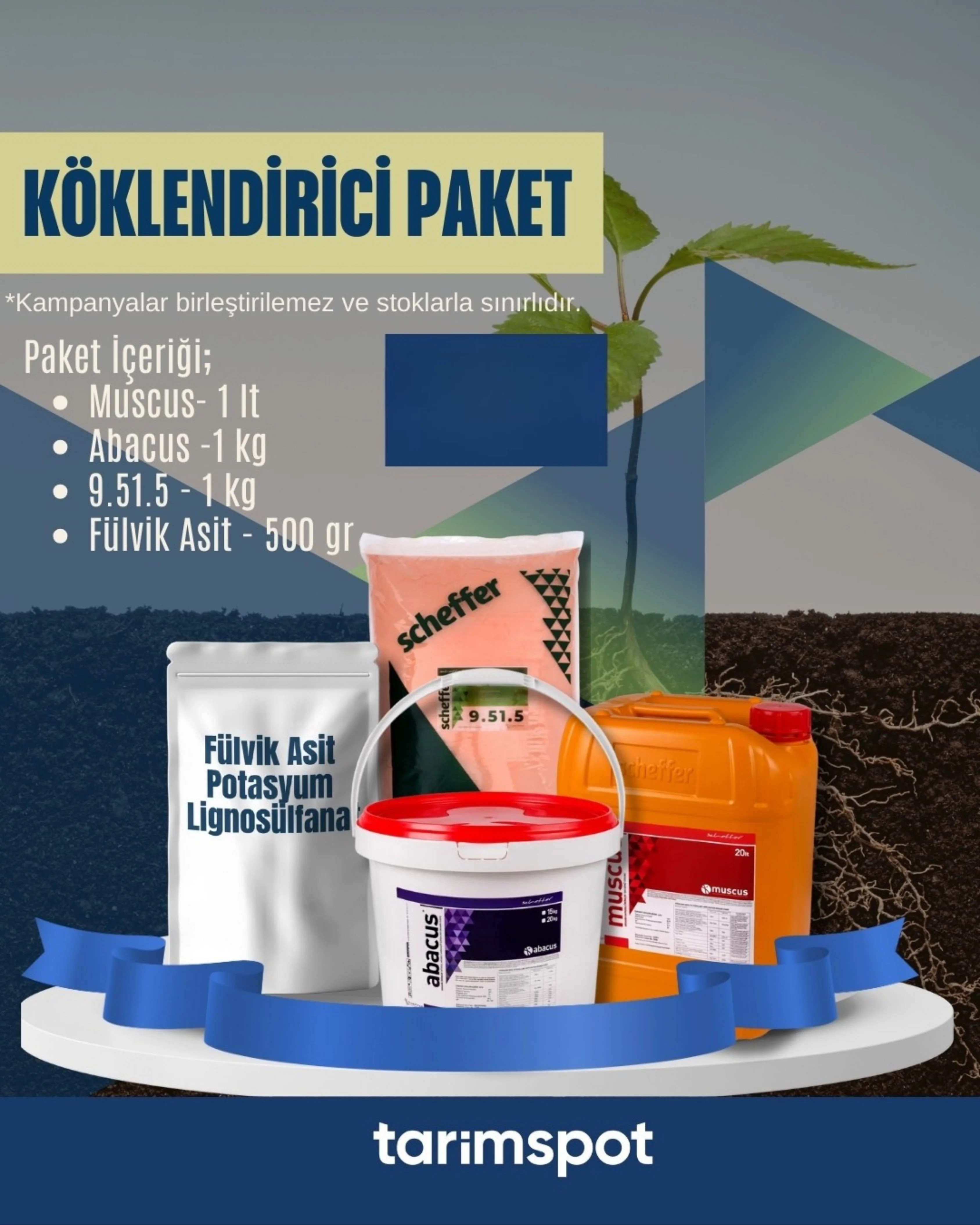 Köklendirici