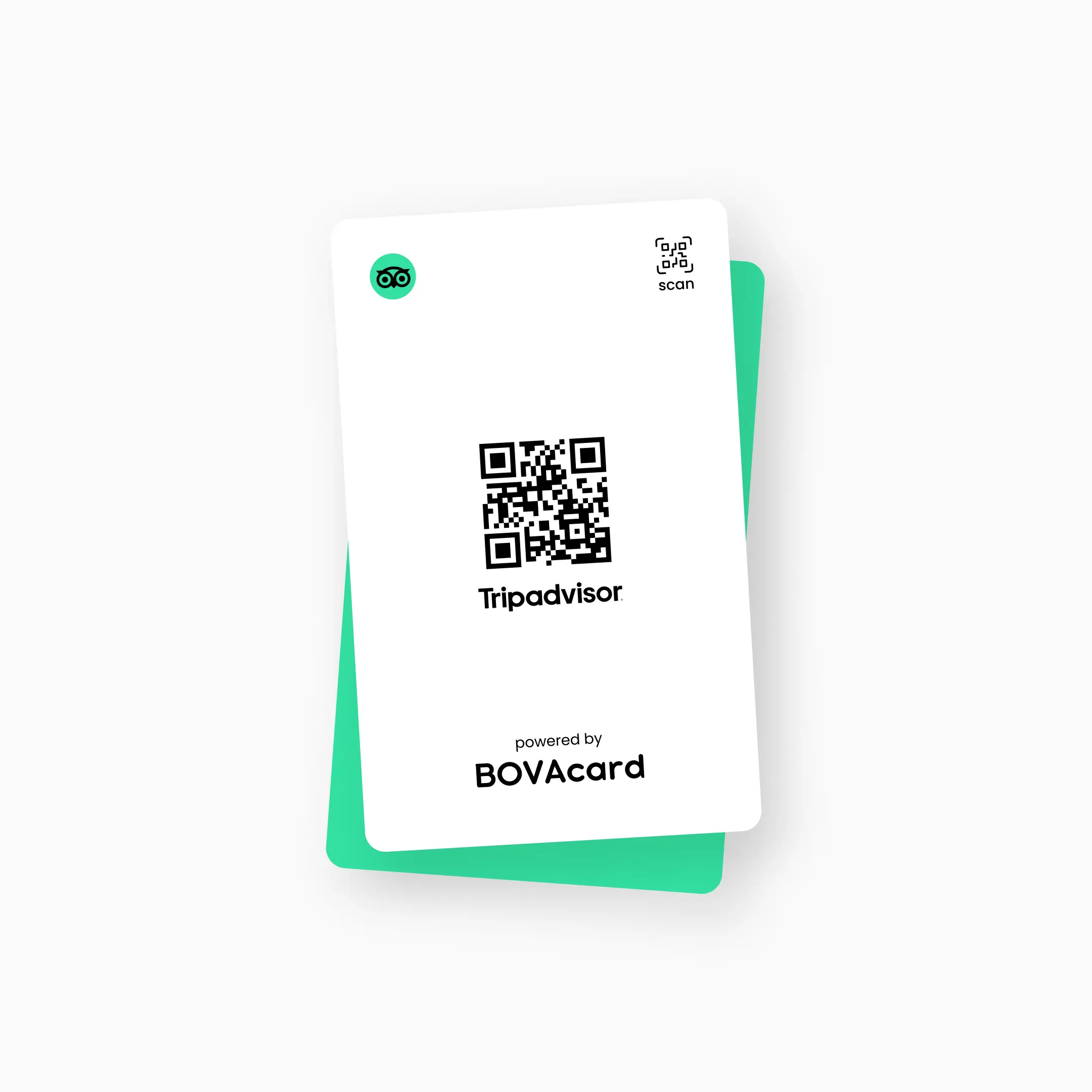 Tripadvisor Review Card