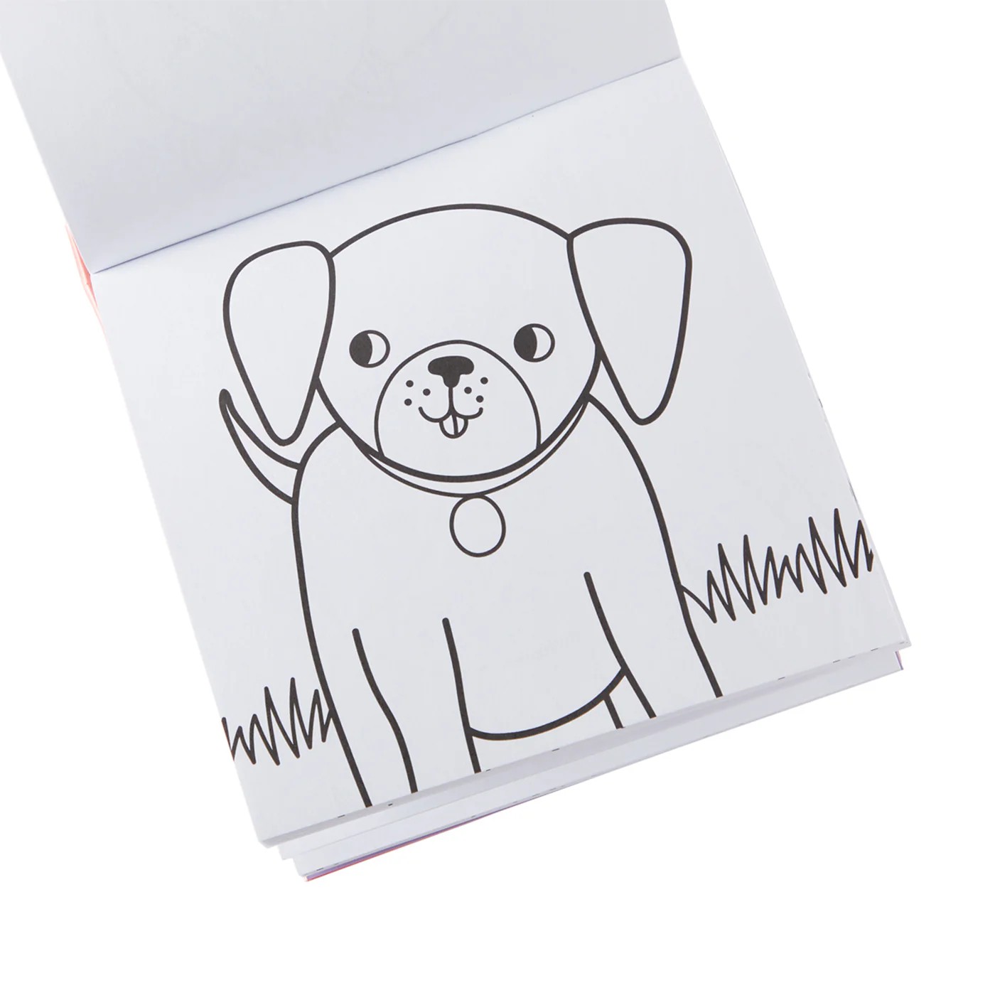 Ooly Carry Along Boyama Seti - Pet Pals