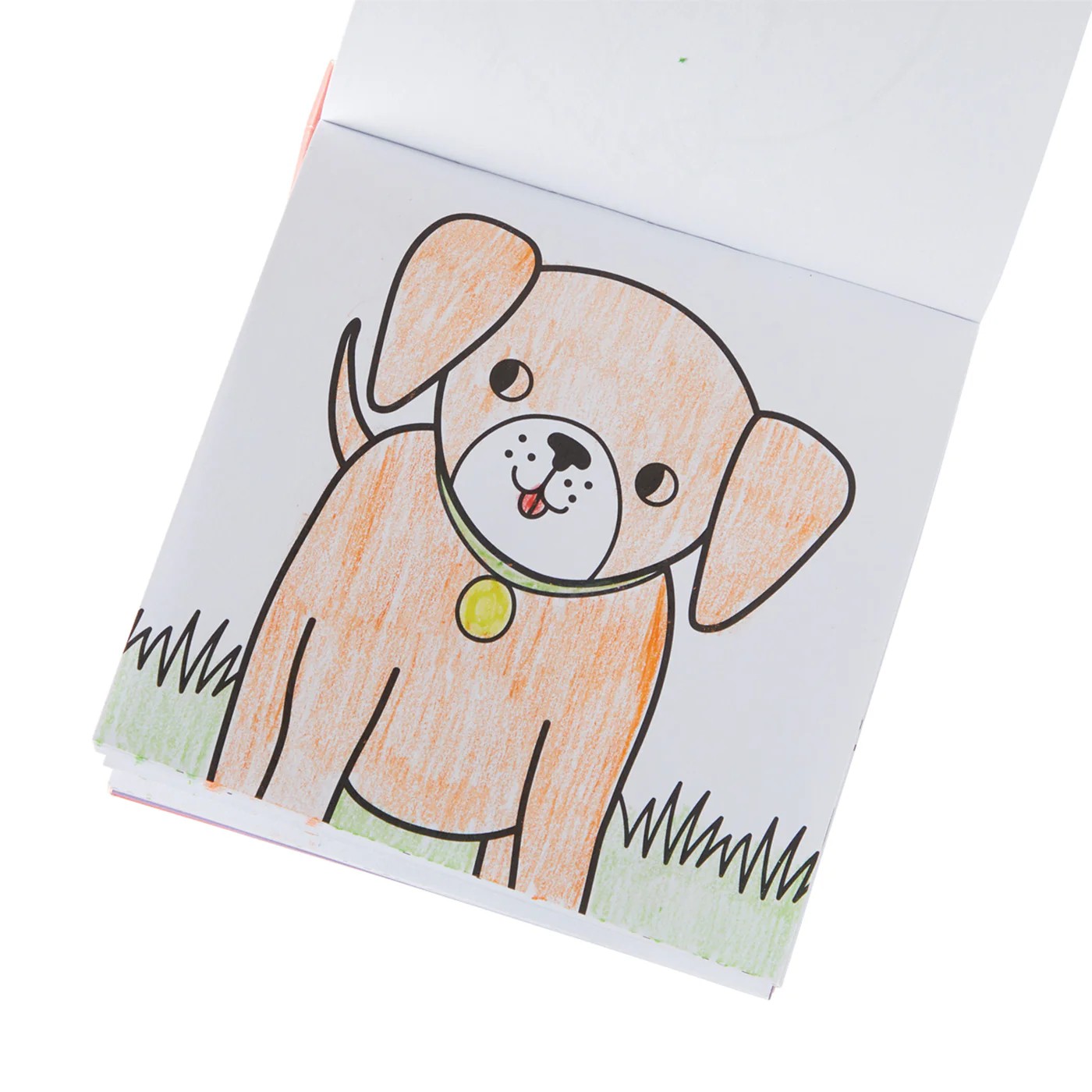 Ooly Carry Along Boyama Seti - Pet Pals