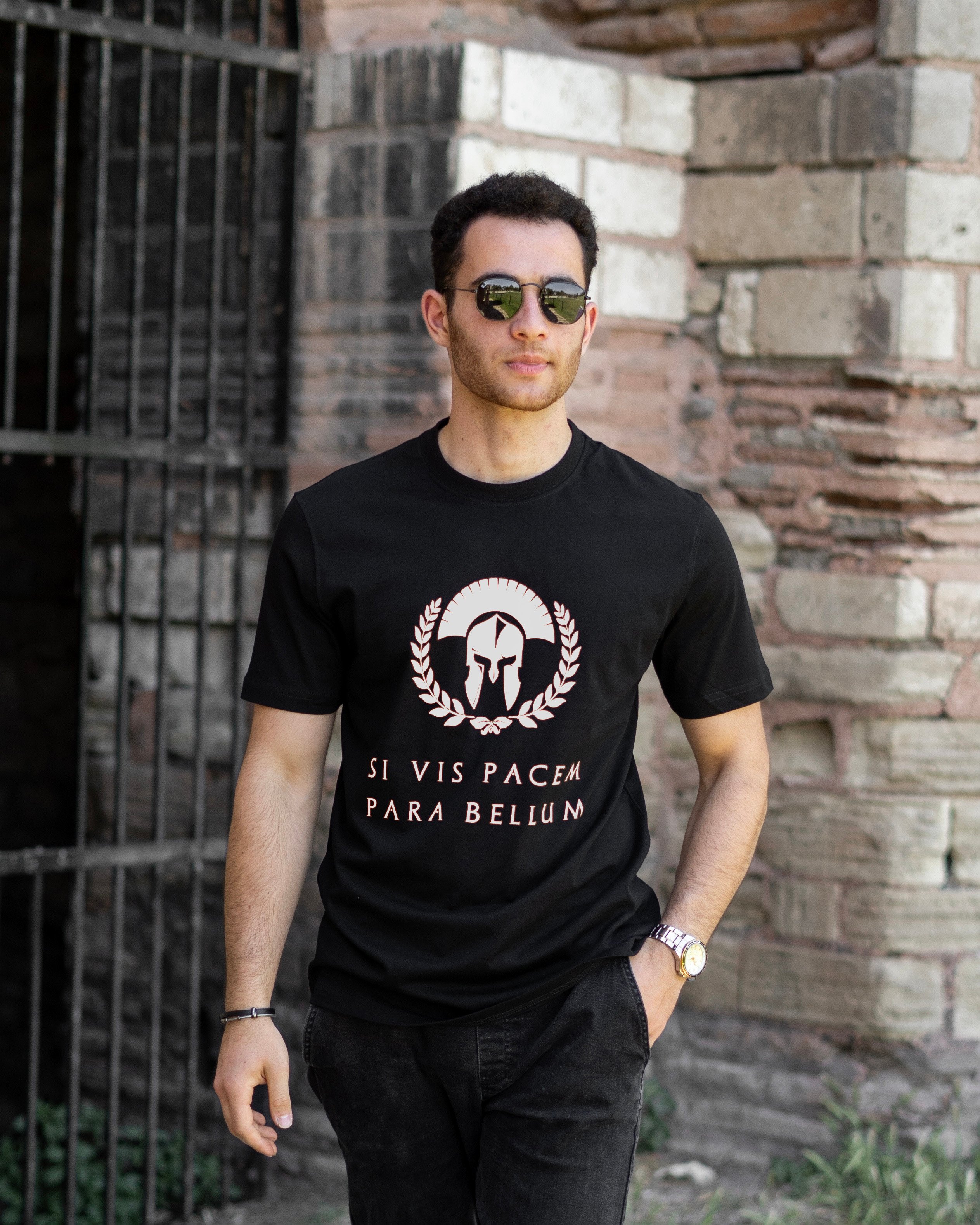 SI VIS PACEM PARA BELLUM