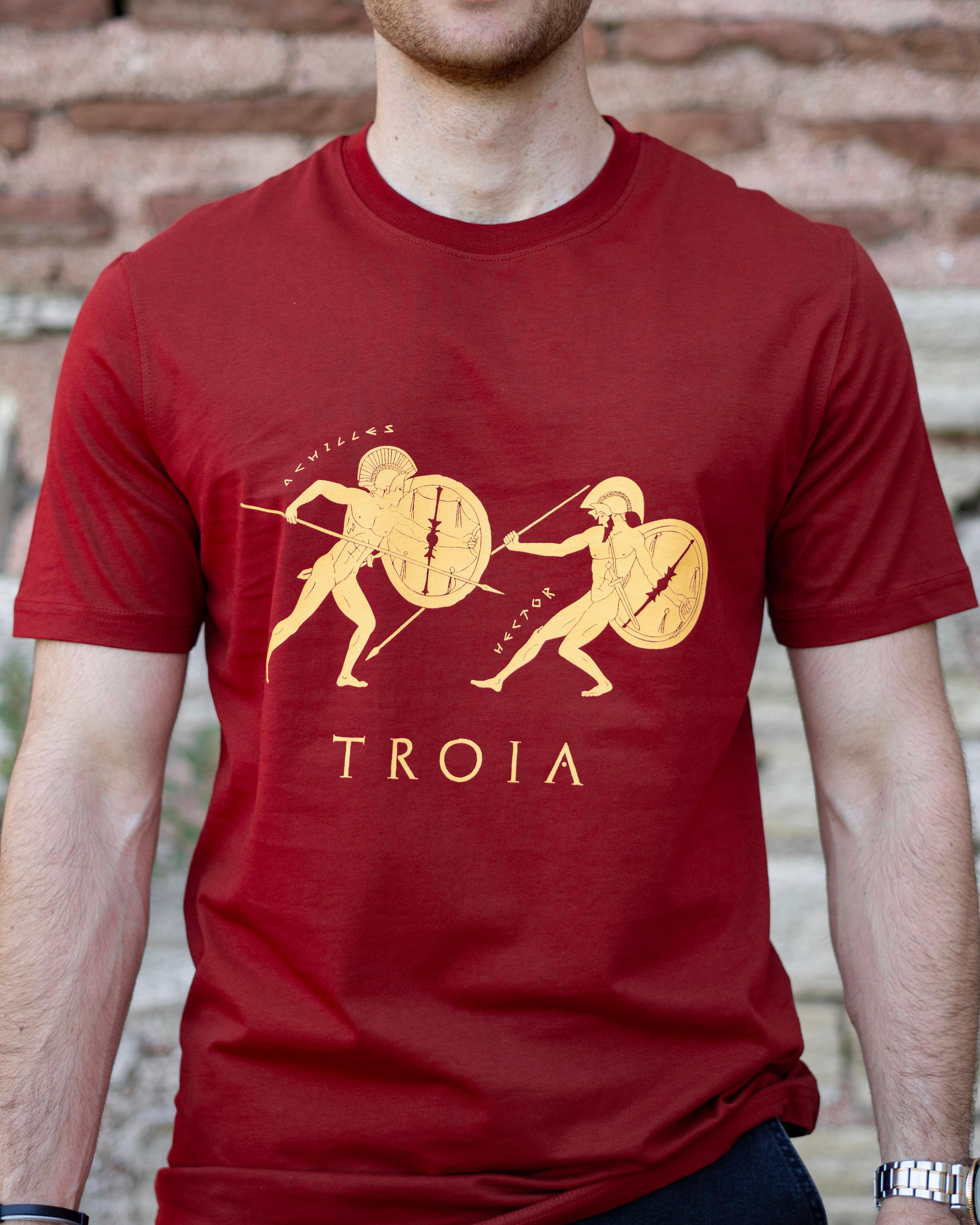 TROIA - HECTOR vs ACHILLES