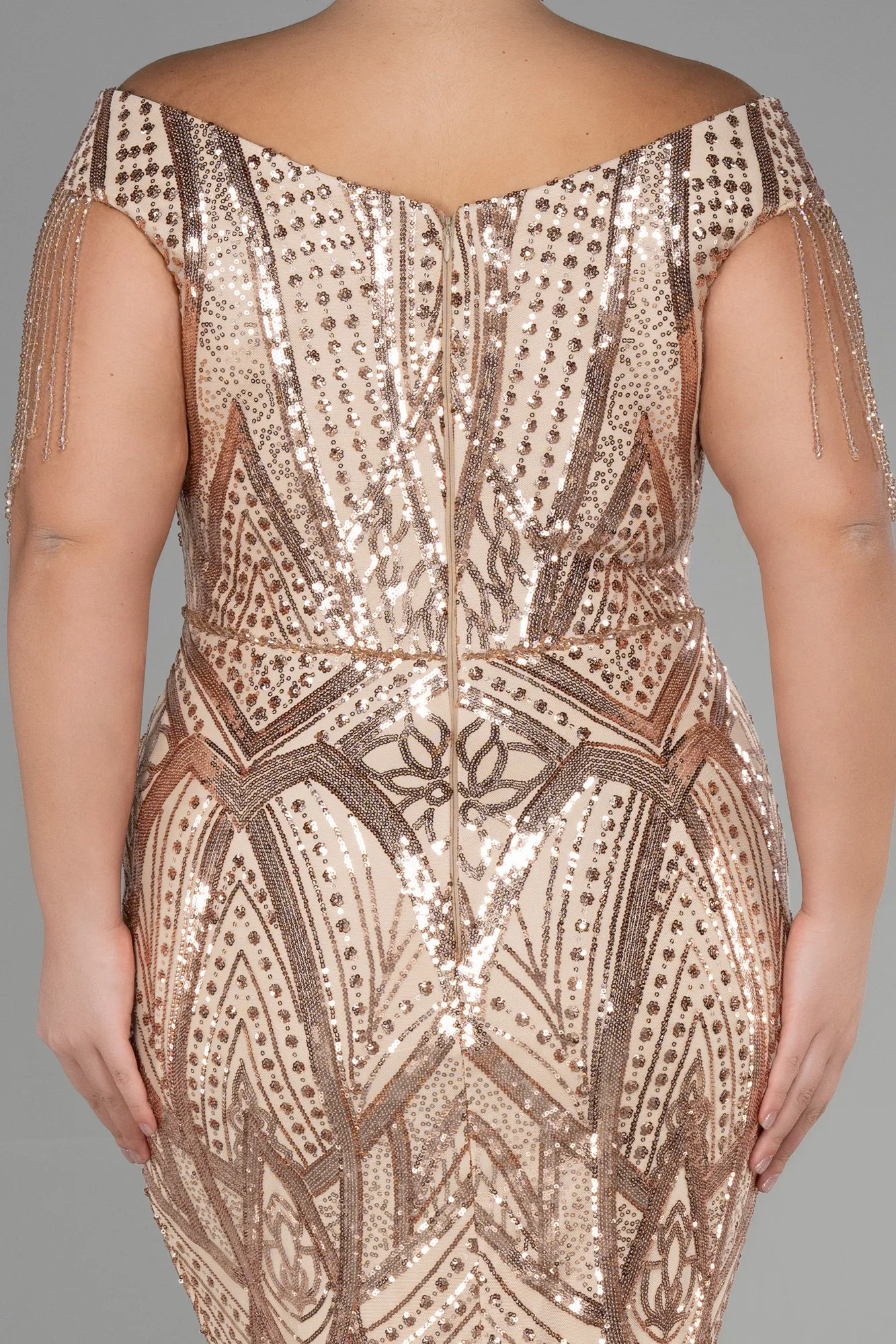 Long Scaly Plus Size Evening Dress ABU3374