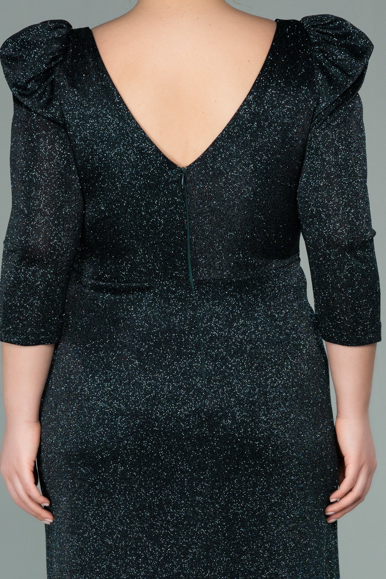 Long Plus Size Evening Dress ABU3444