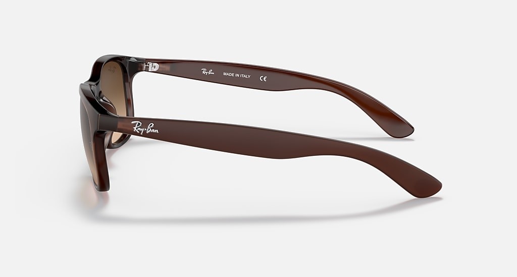 RB4202 607313 55-17 Ray-Ban Unisex Güneş Gözlükleri