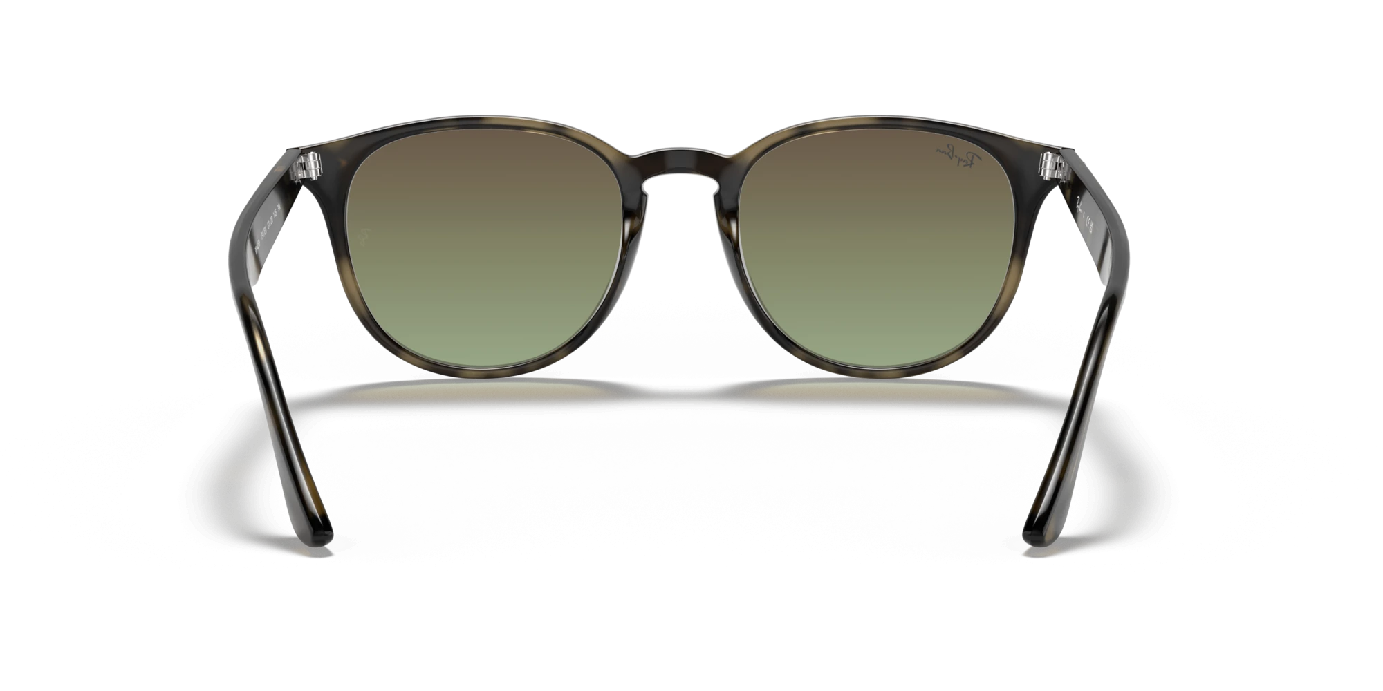 Ray-Ban RB 4259 731/E8 51 Unisex Güneş Gözlükleri