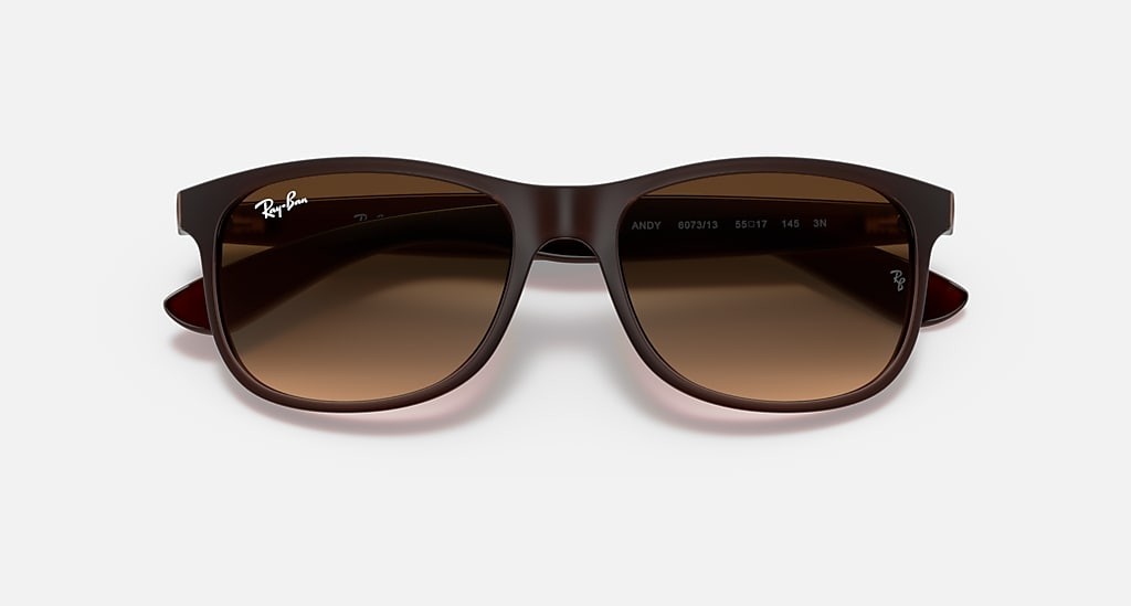 RB4202 607313 55-17 Ray-Ban Unisex Güneş Gözlükleri