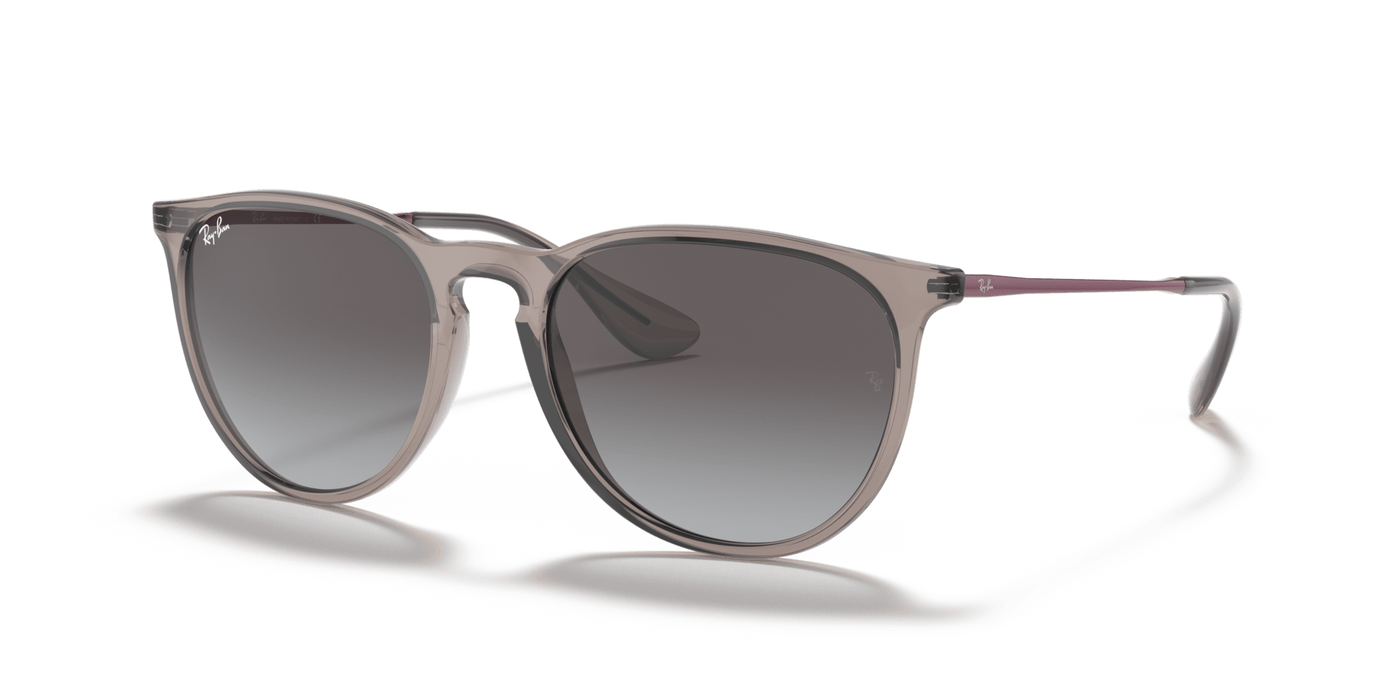 Ray-Ban RB4171 65138G 54 ERIKA Güneş Gözlüğü