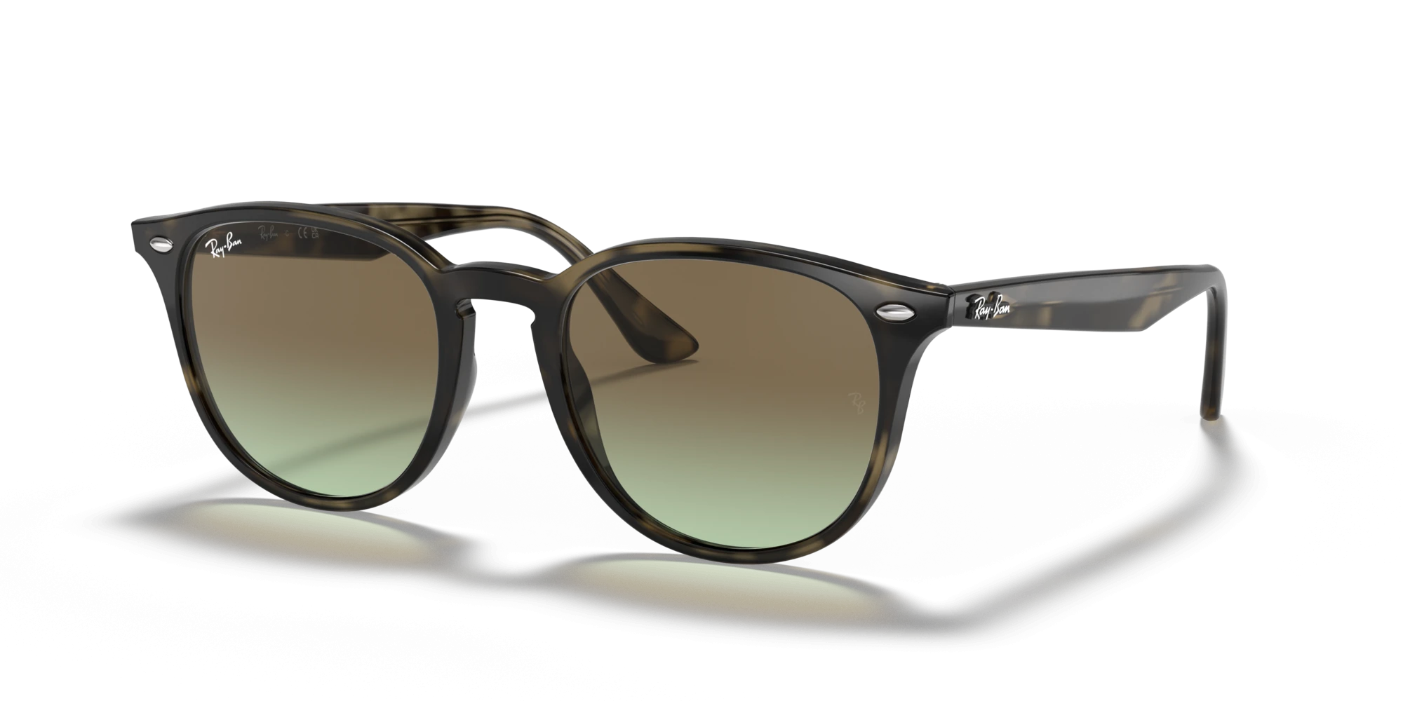 Ray-Ban RB 4259 731/E8 51 Unisex Güneş Gözlükleri