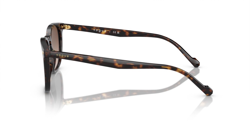 VOGUE 5328S W65613 49 Erkek Güneş Gözlüğü