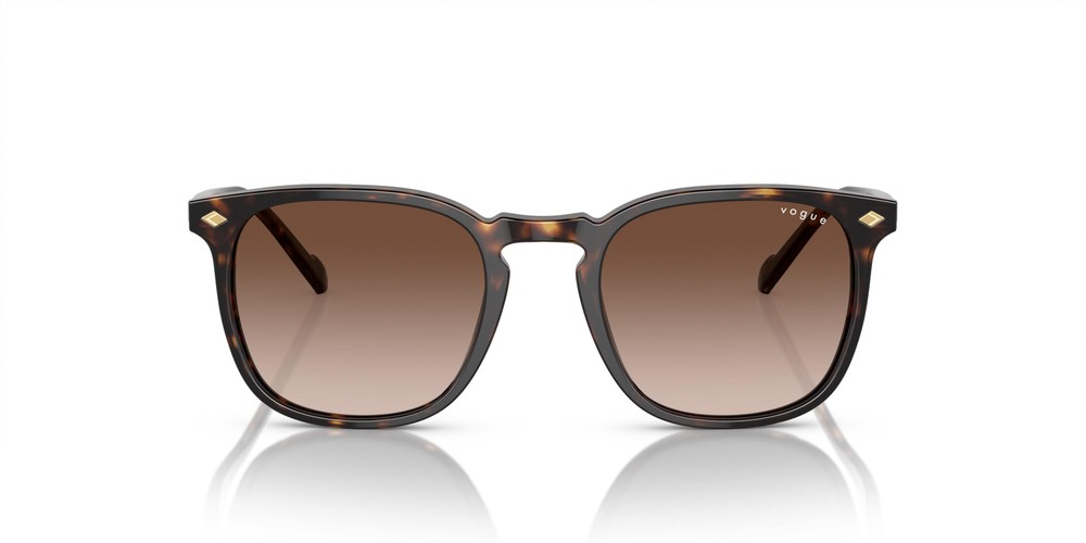 VOGUE 5328S W65613 49 Erkek Güneş Gözlüğü
