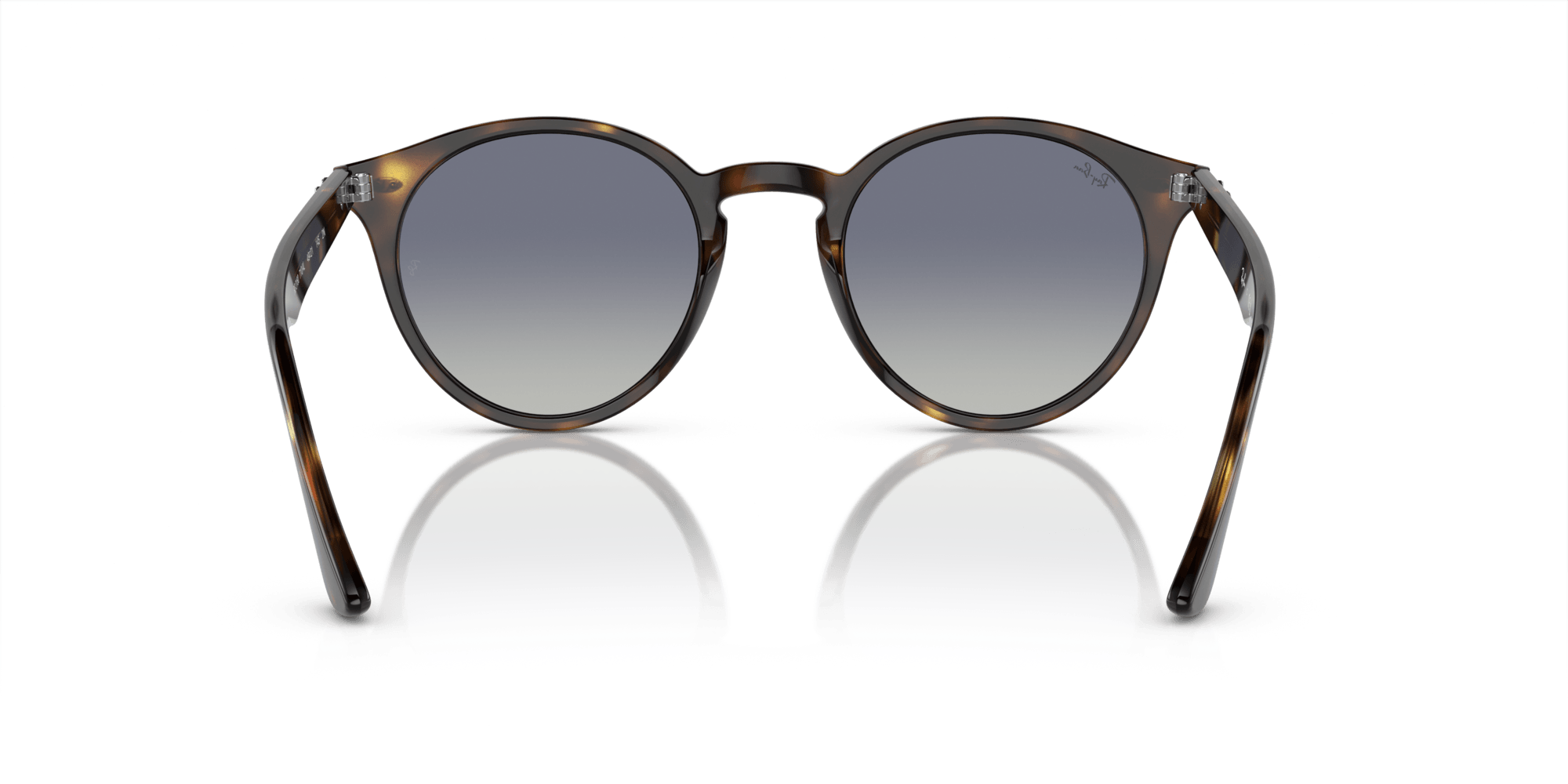 Ray-Ban RB 2180 710/4L Unisex Güneş Gözlükleri