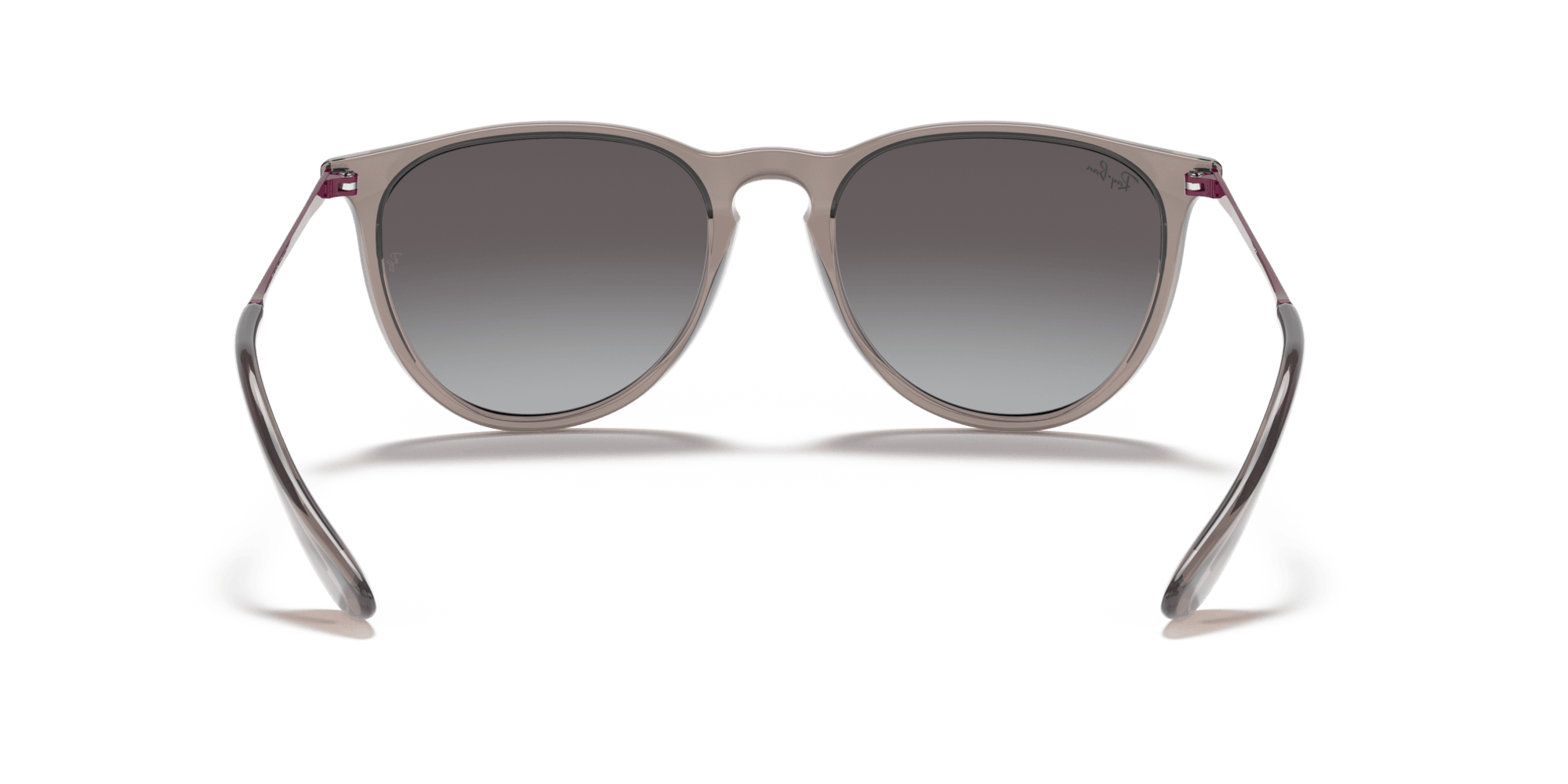 Ray-Ban RB4171 65138G 54 ERIKA Güneş Gözlüğü