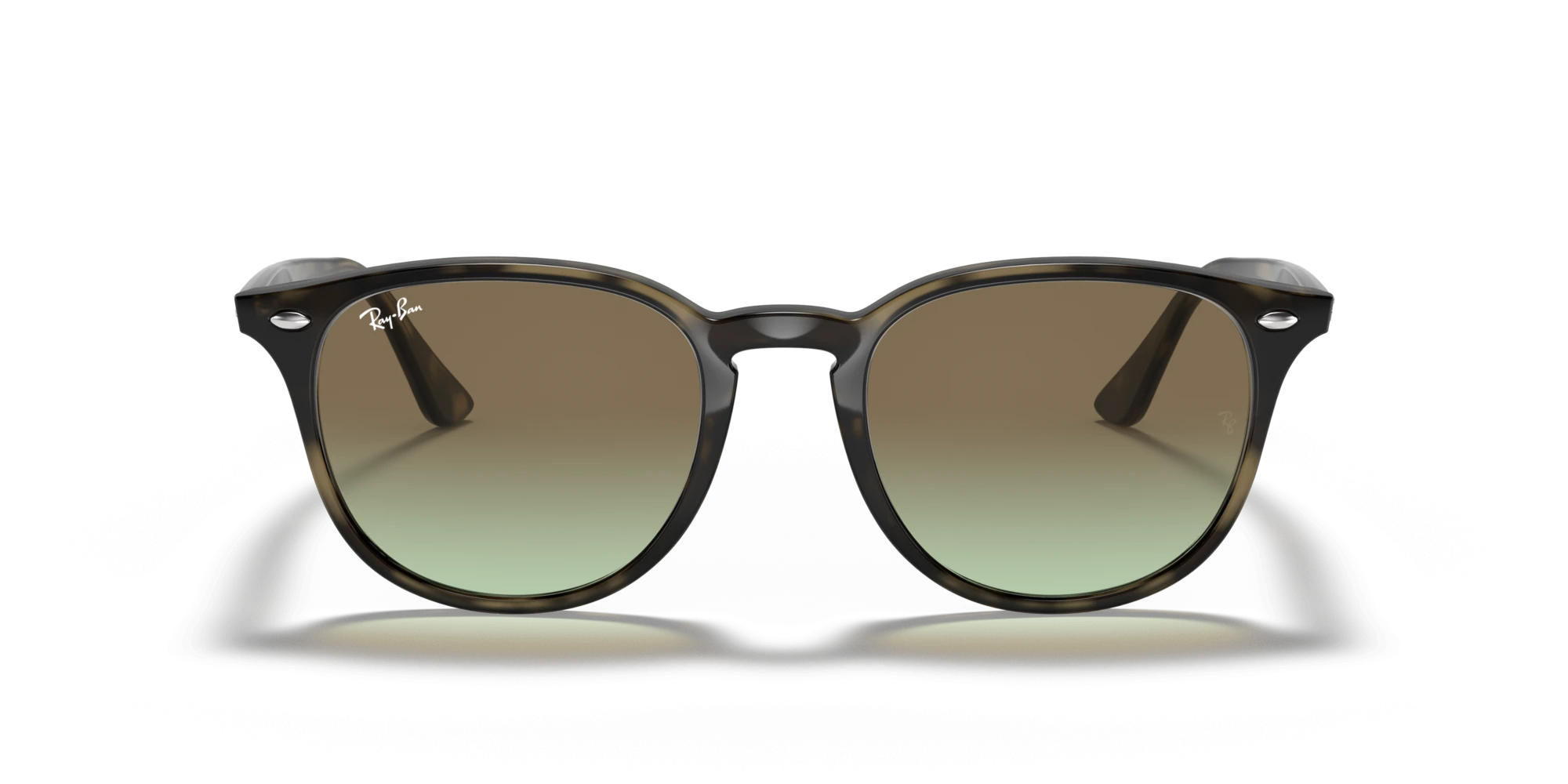 Ray-Ban RB 4259 731/E8 51 Unisex Güneş Gözlükleri
