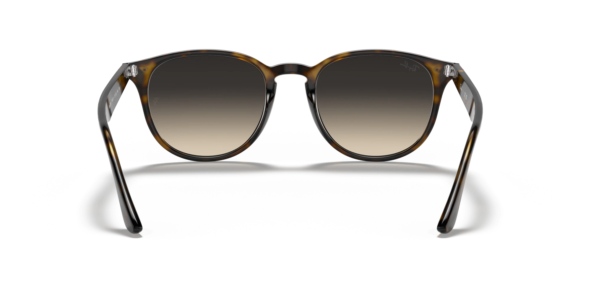Ray-Ban RB 4259 710/11 51 Unisex Güneş Gözlükleri