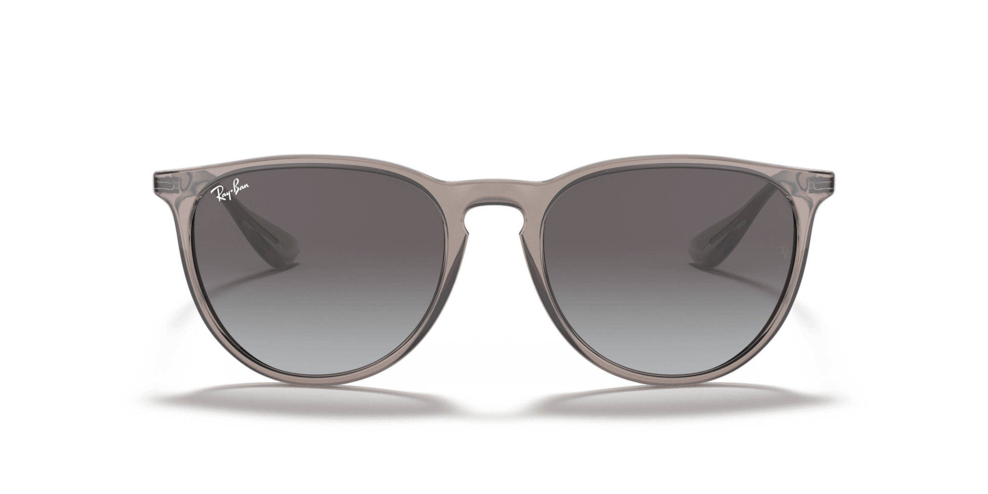 Ray-Ban RB4171 65138G 54 ERIKA Güneş Gözlüğü