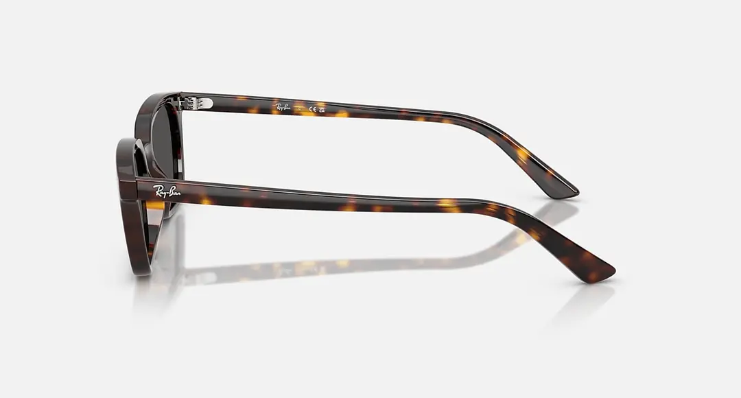 RAY-BAN Ray-Ban RB4456 135987 ZAYA Güneş Gözlükleri | %100