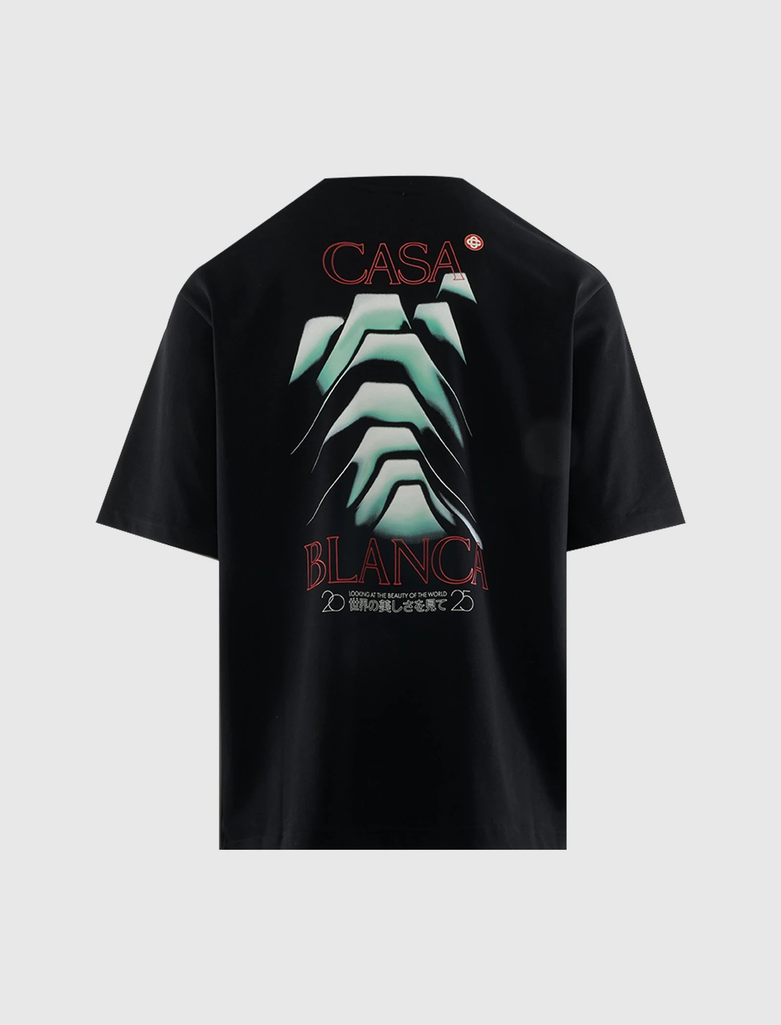 Frosty Mountain T-Shirt