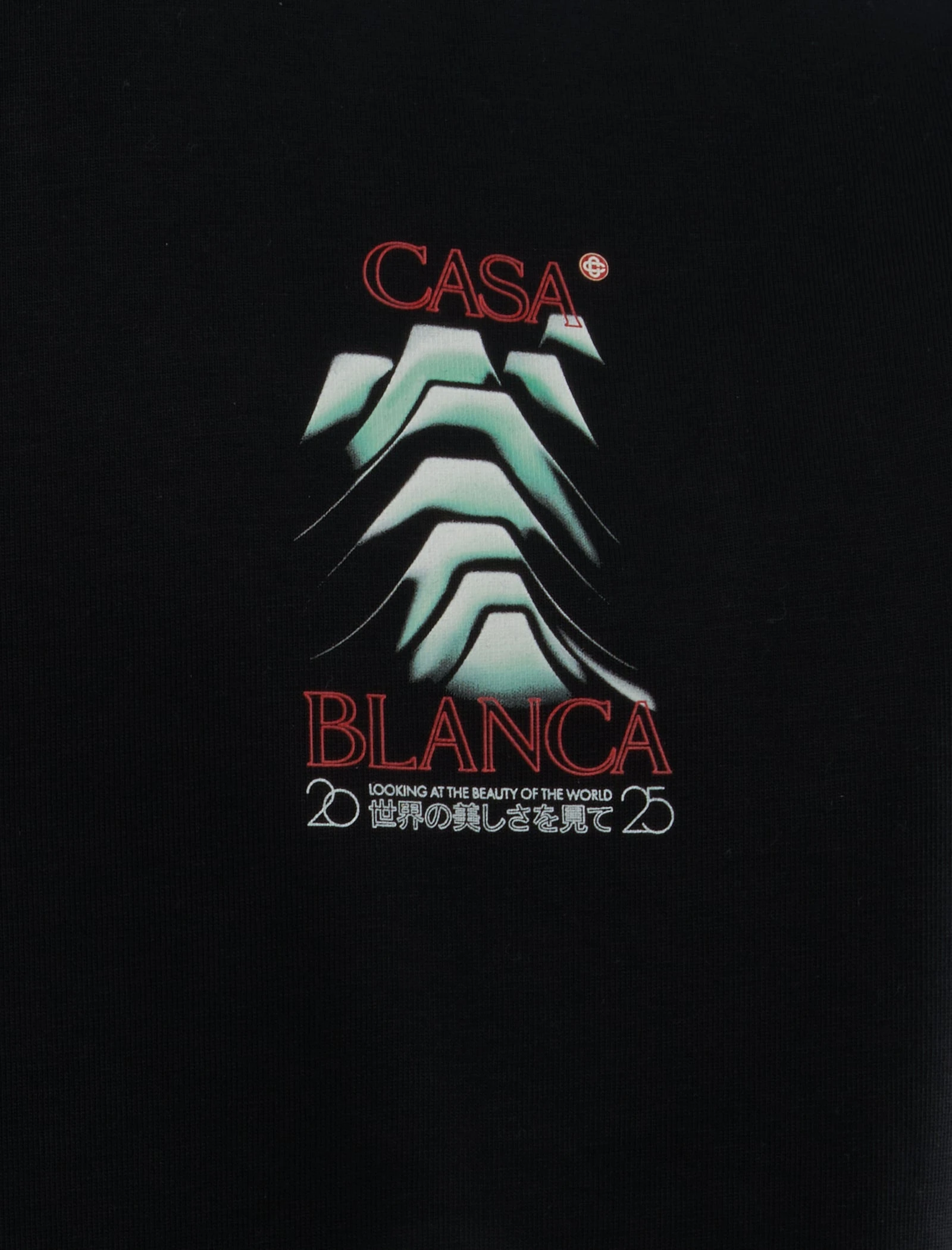 Frosty Mountain T-Shirt