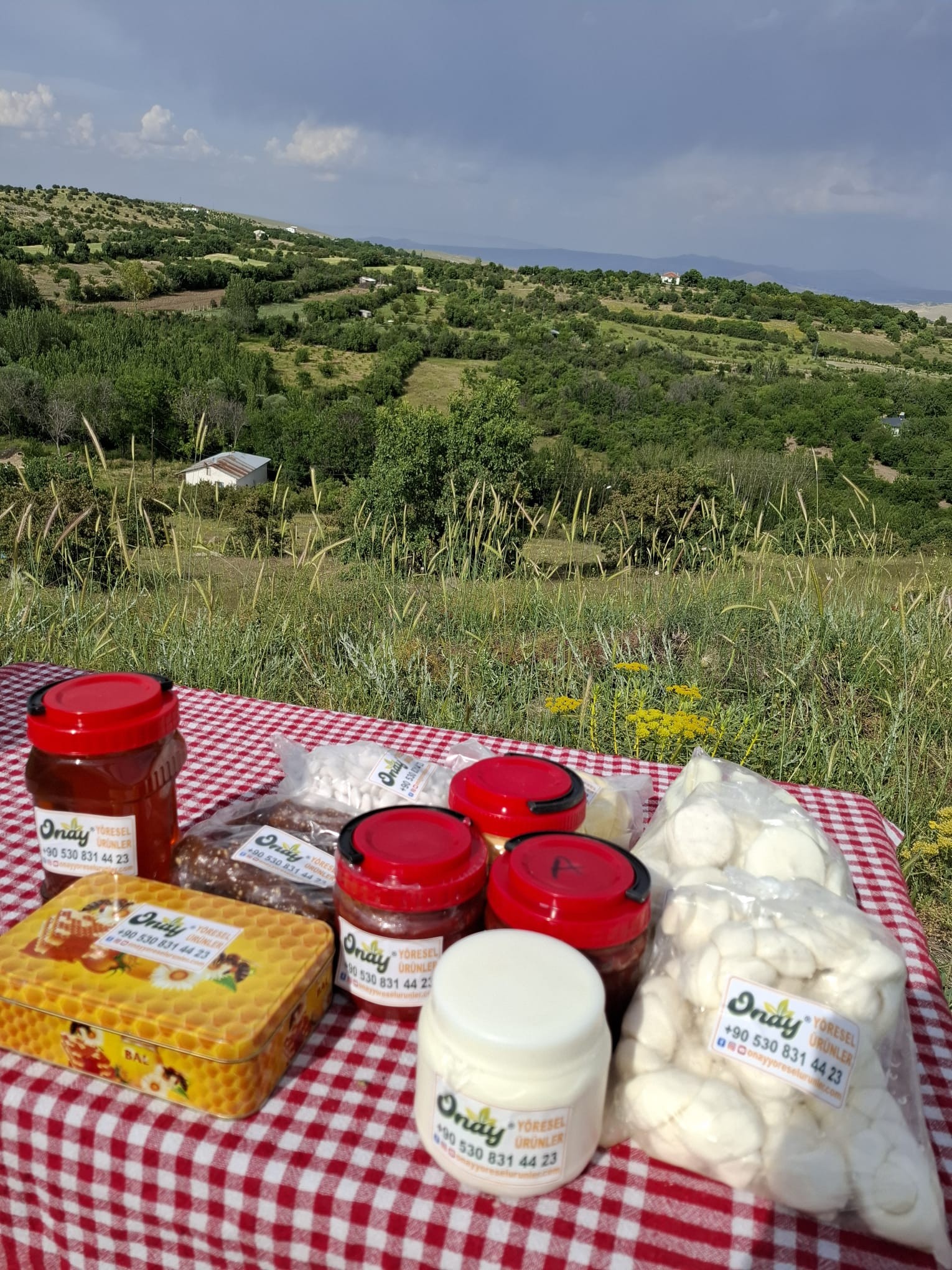 Yaz paketi:1 kg tuzsuz ty. 1 kg tuzlu tereyağ,1 kg örgü p. 1 kg dil p. 1kg lavaş p. 500 gr. orcik,500 gr badem şekeri, 1kg biber salçası  , 1kg domates salçası,1 kg tulum peyniri ,(1 kg petek bal veya 2 kg süzme bal)