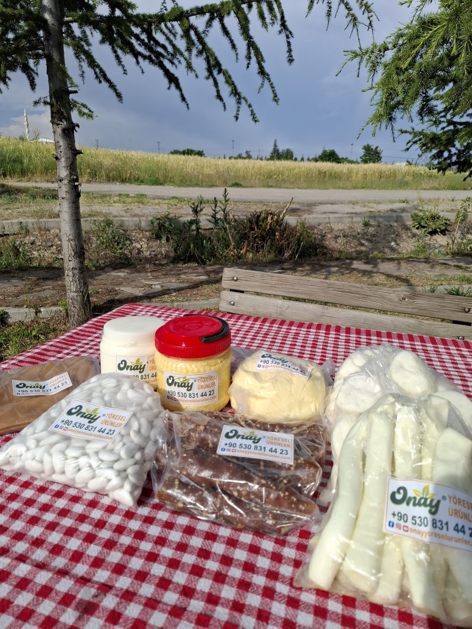 Ekonomik paket 9 çeşit ürün( 500 gr orcik,1 kg pestil ,500 gr badem şekeri,1 kg tuzlu ty.1 kg tuzsuz tereyağ,1 kg tulum p.1 kg örgü p. 1 kg dil p. 1 kg lavaş peyniri)
