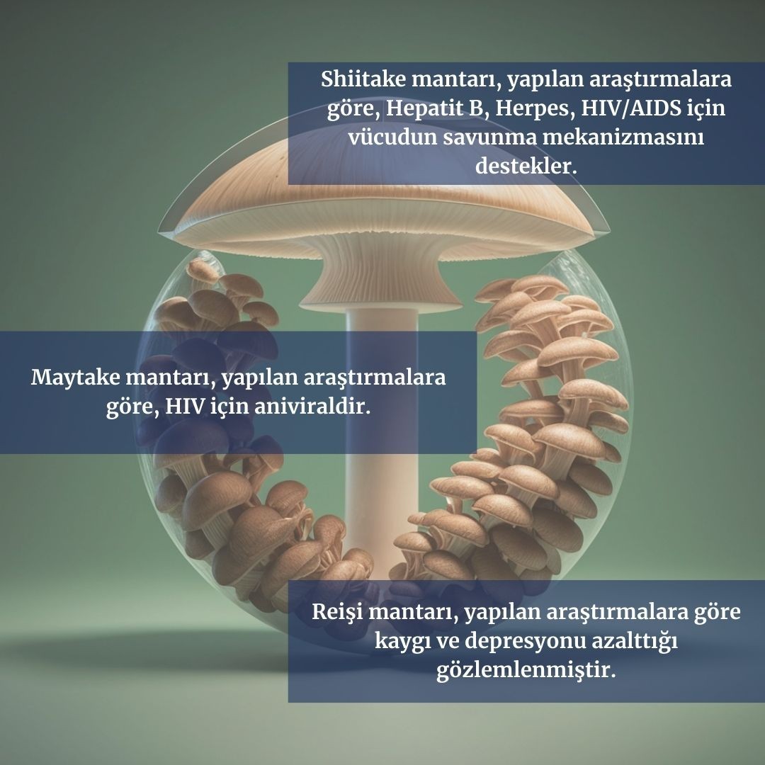 4M Capsule Takviye Edici Gıda