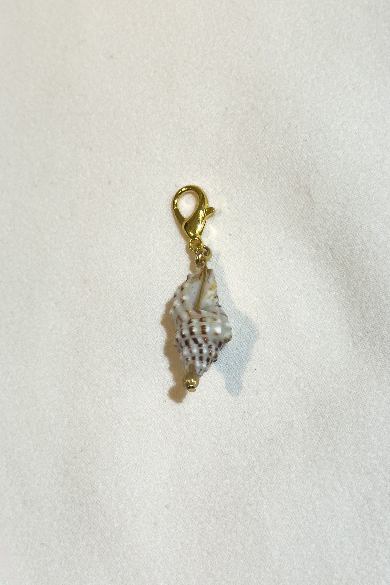 Deniz Kabuğu Charm