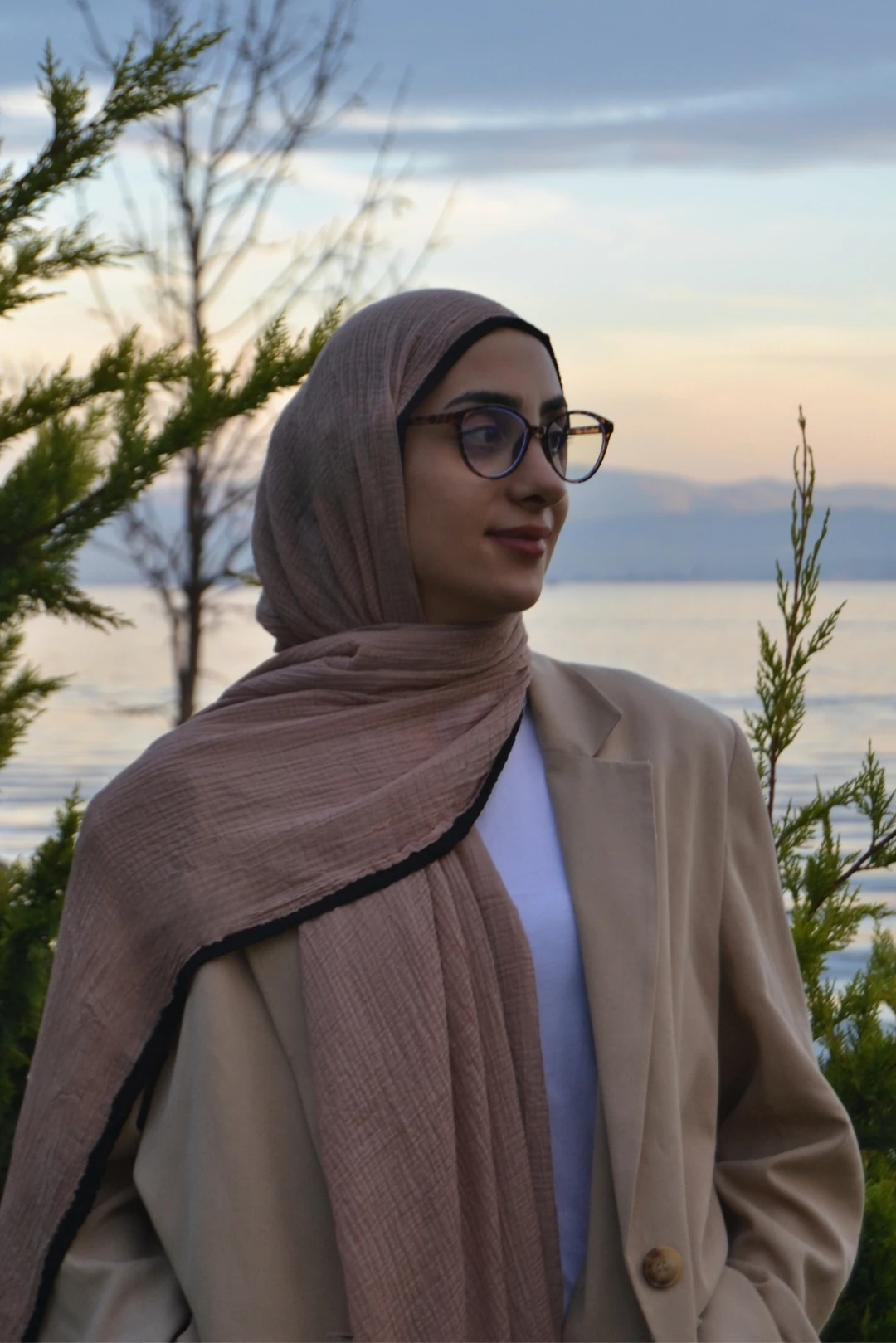 Liva Müslin Şal - Koyu Vizon