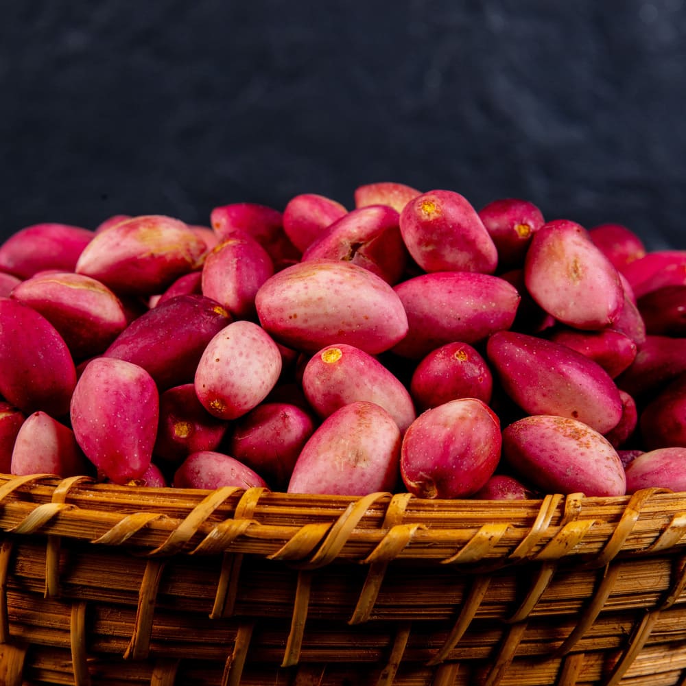 Taze Yaş Antep Fıstığı