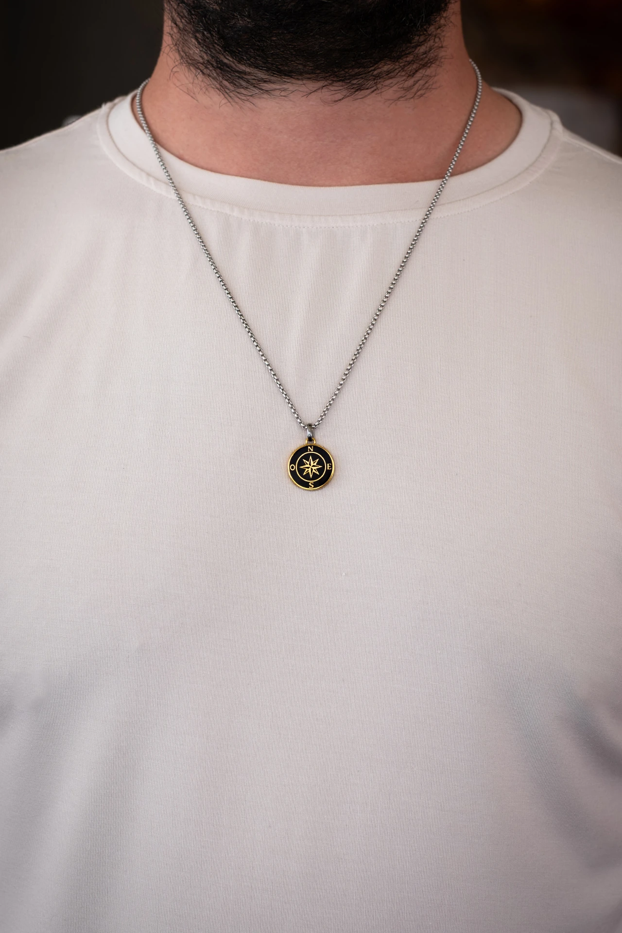 True North Çelik Kolye