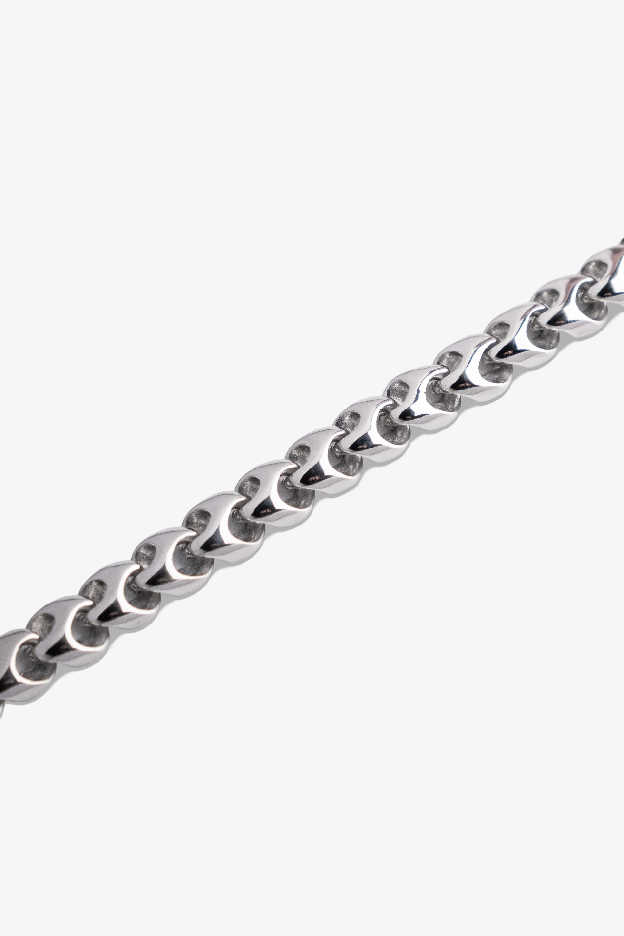 Cowrie Premium Çelik Bileklik