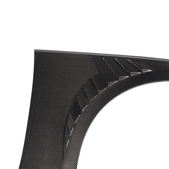 AUDI RS3 Dry Carbon Fiber Fender