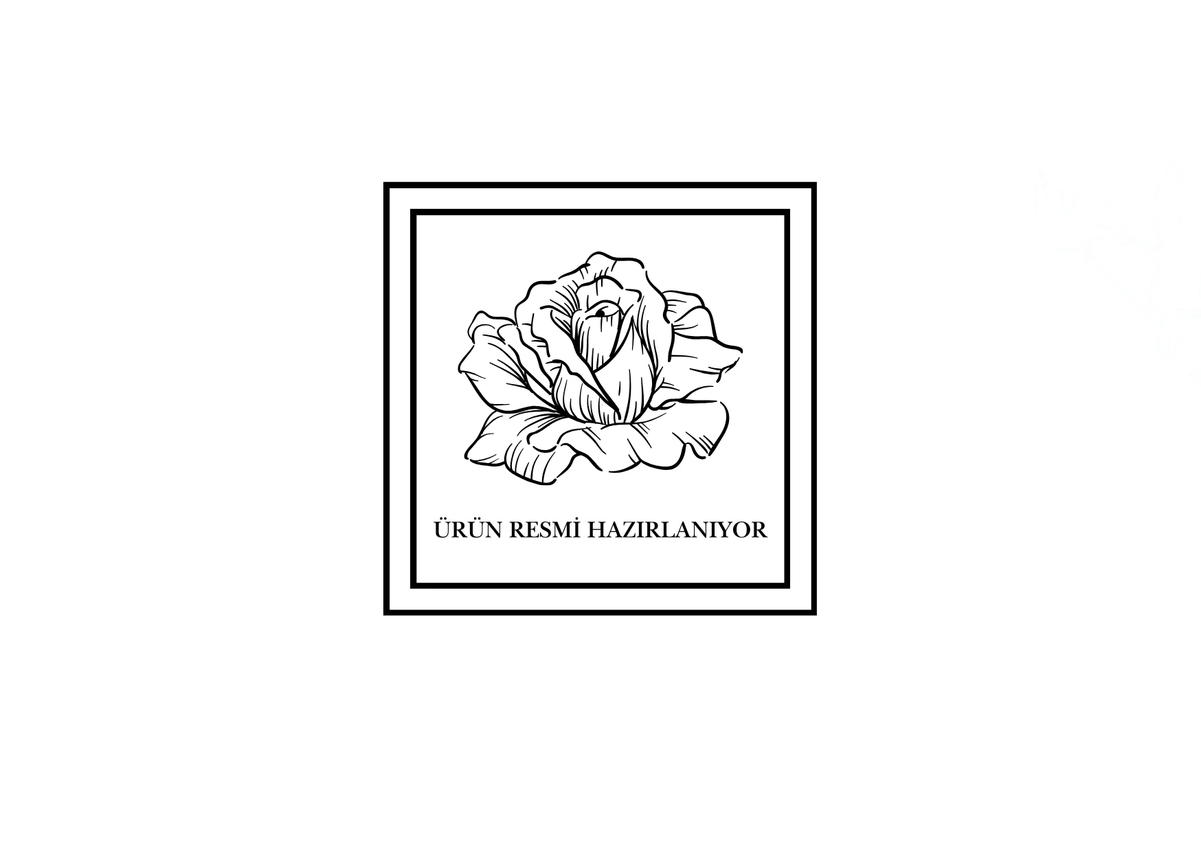 ROSALINDA SILVER 9 GÜL BEYAZ ODA KOKUSU