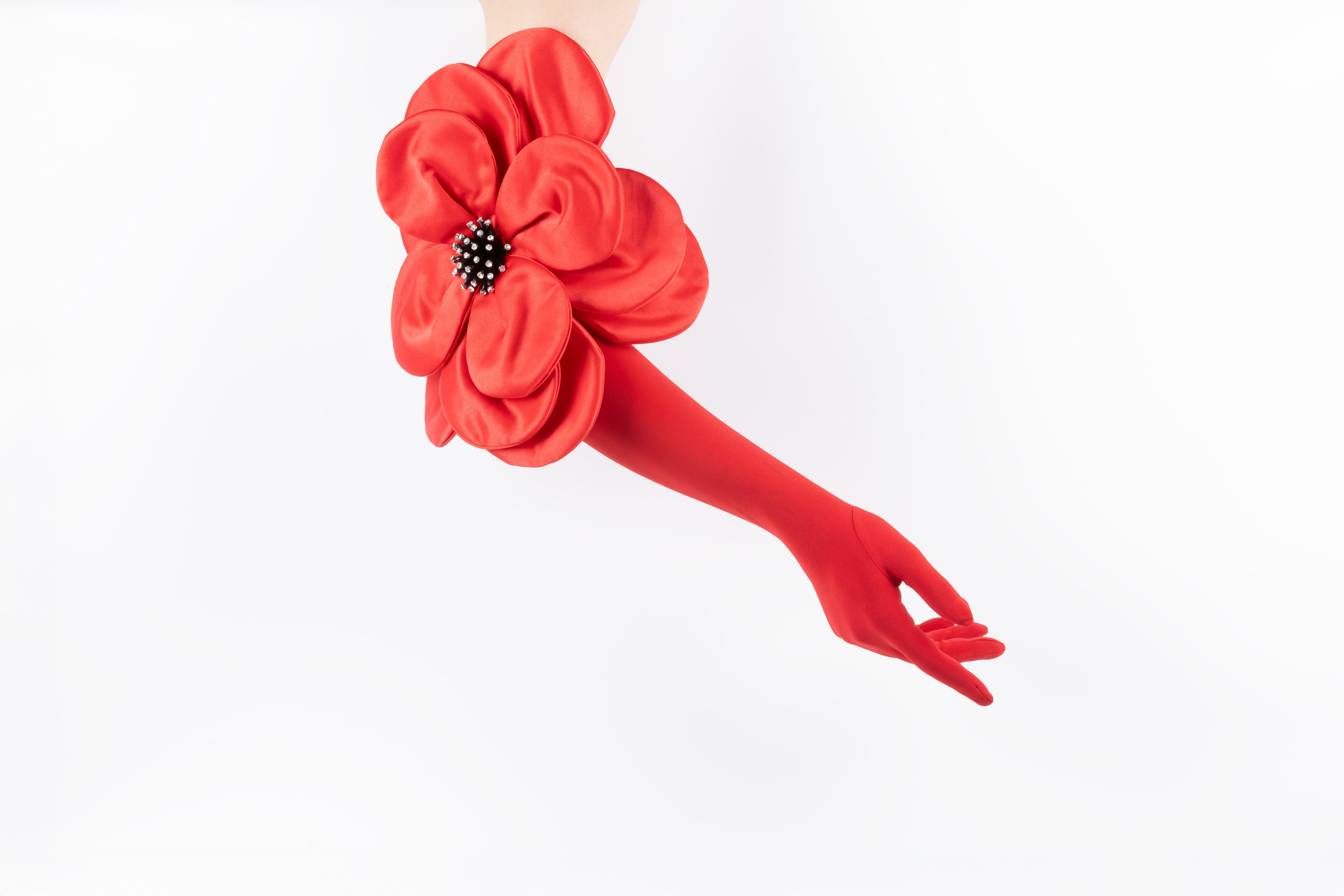Crimson Bloom