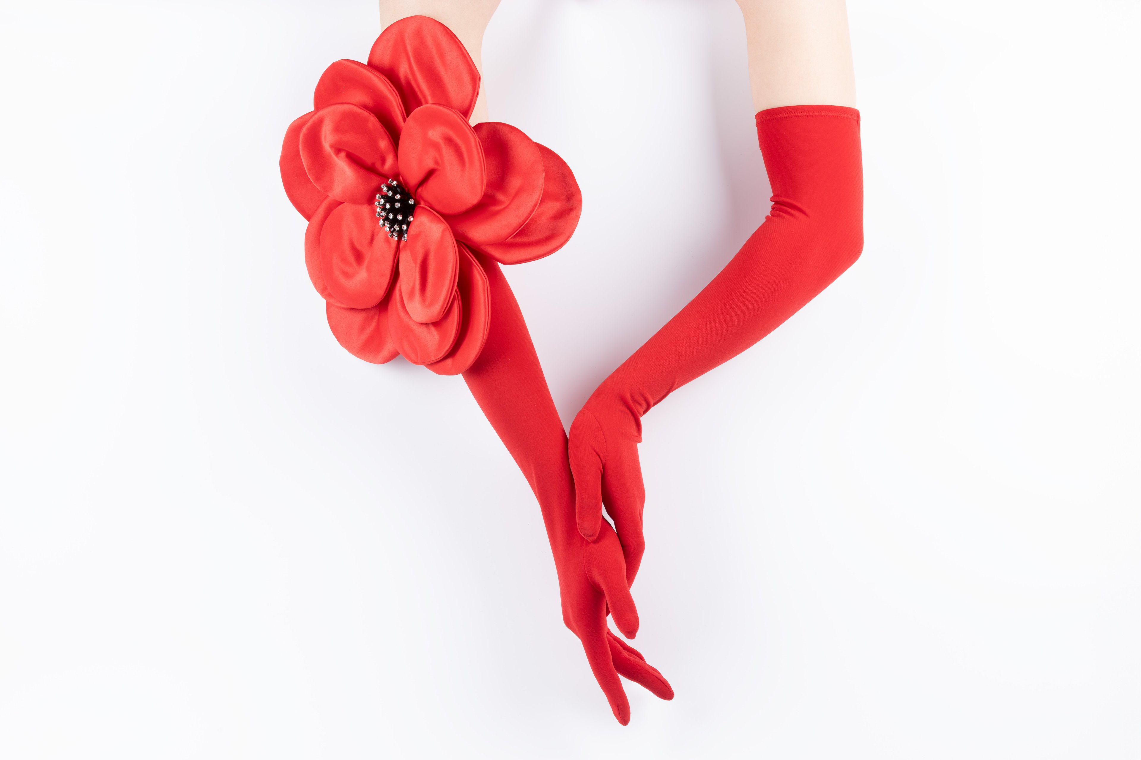 Crimson Bloom