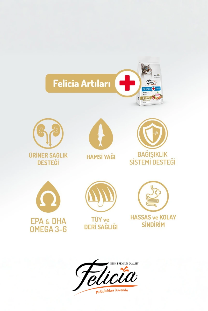 5 kg Somonlu Hipoalerjenik Düşük Tahıllı Yetişkin Kedi Maması 25li Kedi Ödülü Krema 15li Lolipop