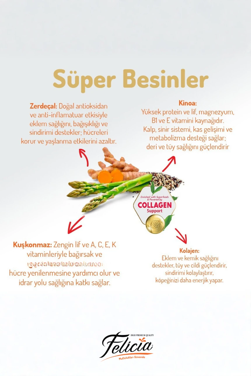 Kolajenli Somonlu Az Tahıllı M/Large Yetişkin Köpek Maması Breed HypoAllergenic 3KG + 4 ADET Wanpy Ezme 90gr