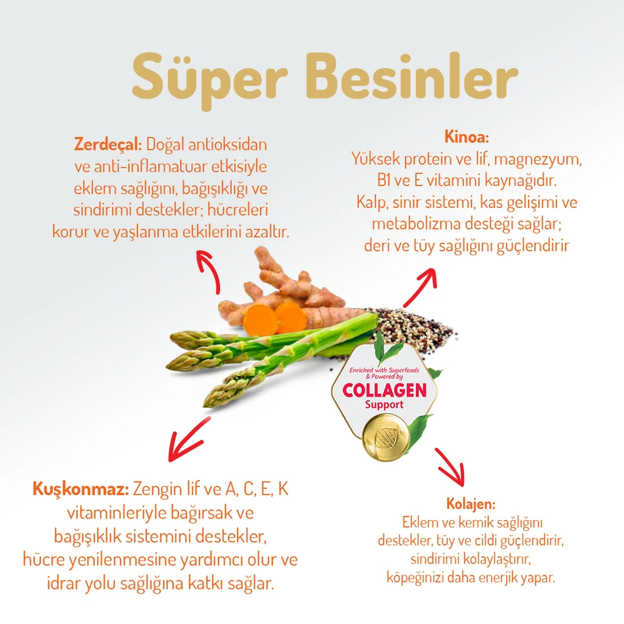 Kolajenli Somonlu Az Tahıllı Small/Mini Yetişkin Köpek Maması /Mini HypoAllergenic Köpek Maması 3Kg + 4 ADET Wanpy Ezme 90gr