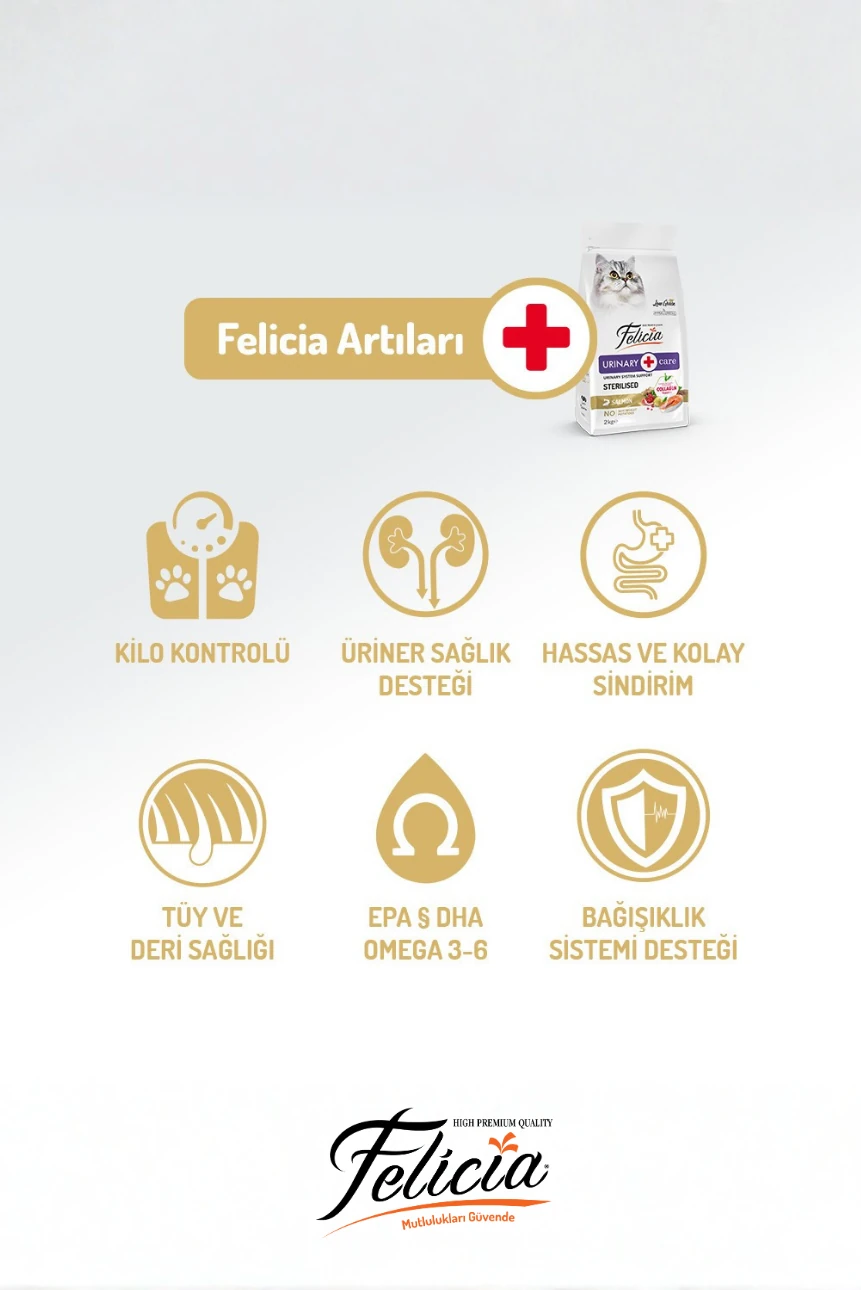 5 kg Somonlu Düşük Tahıllı Yetişkin Kısır Kedi Maması 25li Kedi Ödülü Krema 15li Lolipop