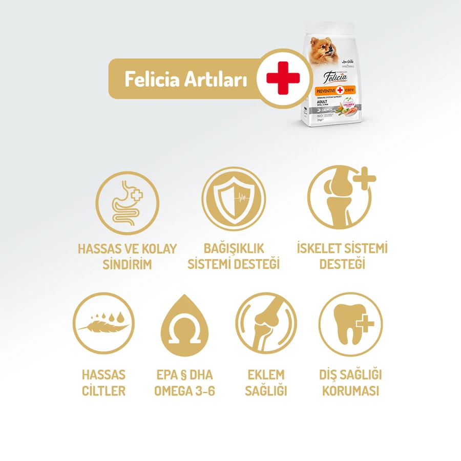 Kolajenli Somonlu Az Tahıllı Small/Mini Yetişkin Köpek Maması /Mini HypoAllergenic Köpek Maması 3Kg + 4 ADET Wanpy Ezme 90gr