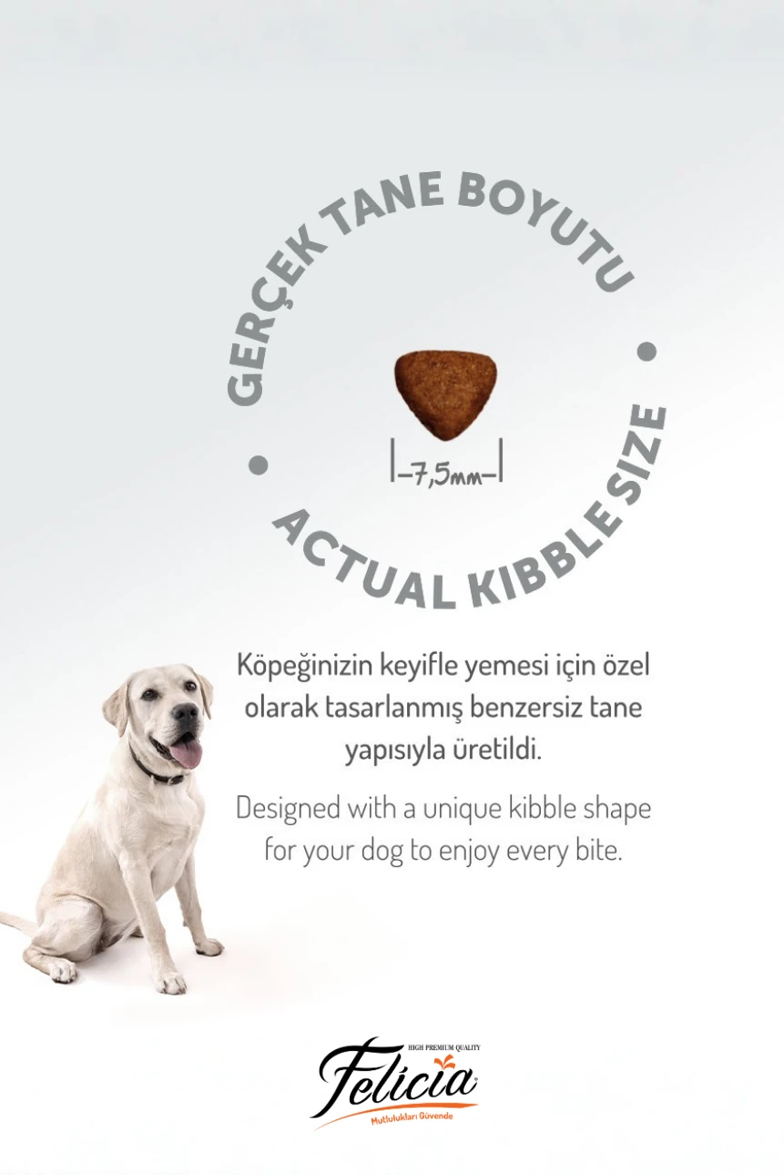 Kolajenli Somonlu Az Tahıllı M/Large Yetişkin Köpek Maması Breed HypoAllergenic 3KG + 4 ADET Wanpy Ezme 90gr