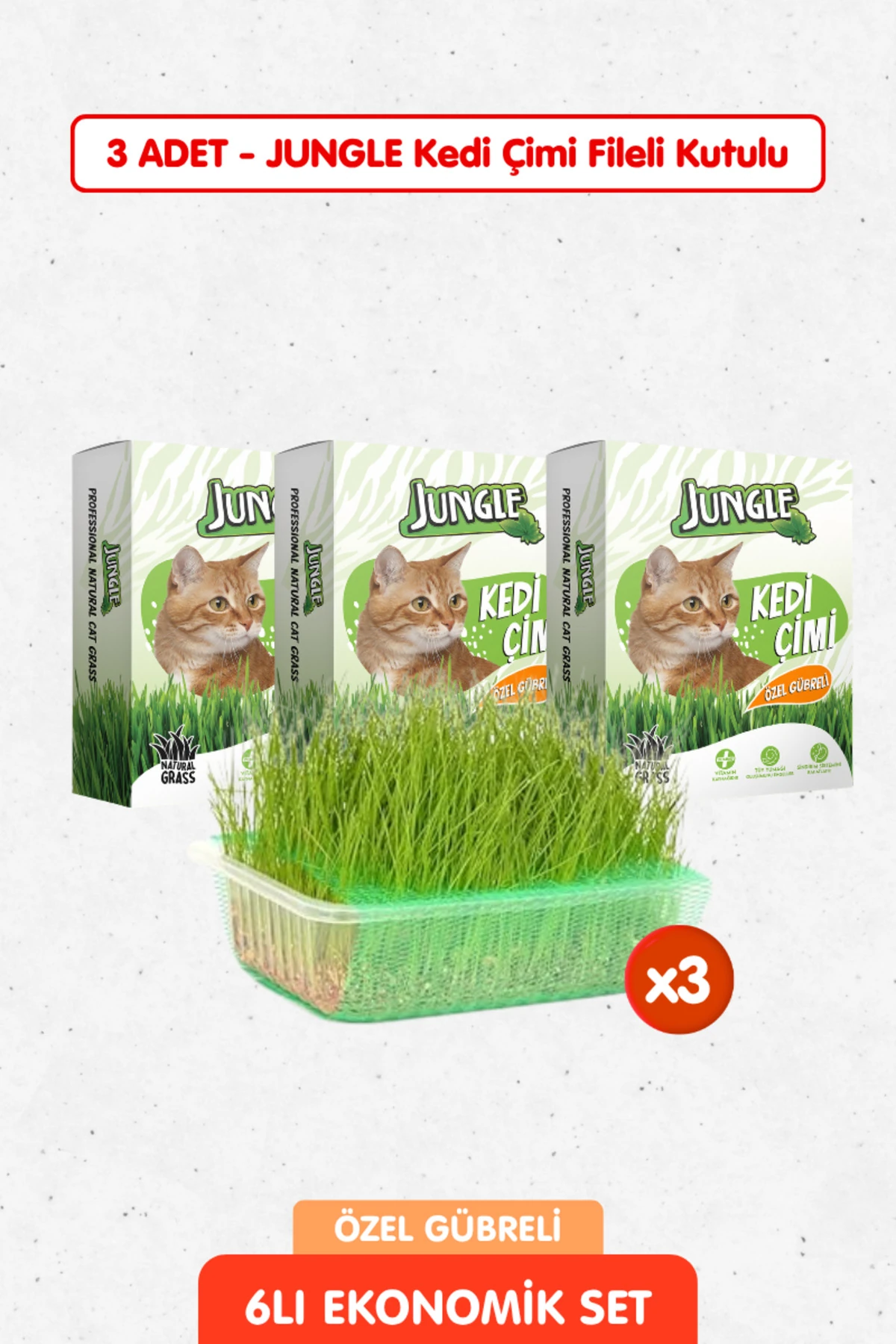 3 Adet Özel Gübreli %100 Doğal Kedi Çimi Fileli ve Kutulu Tüy Yumağı Önleyici