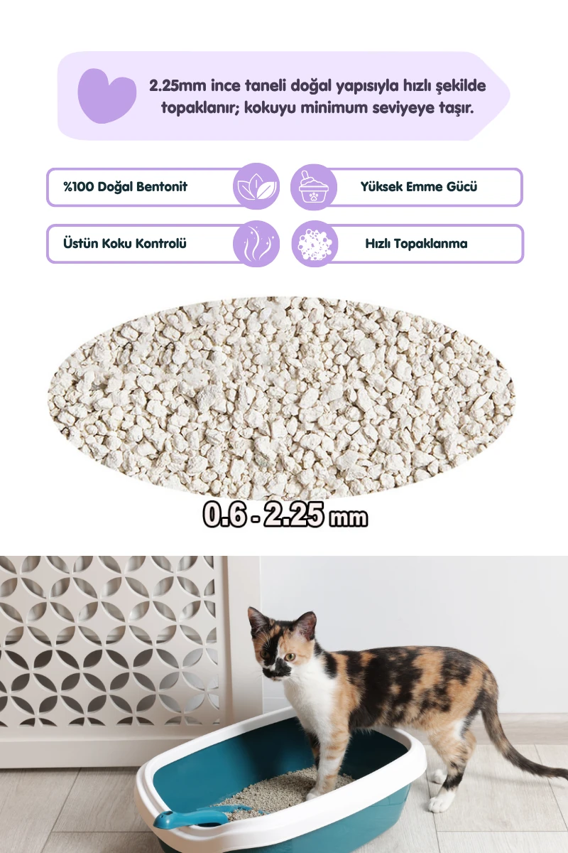 2 Adet 5LT Lavanta Kokulu Bentonit Topaklaşan Kokusuz Kedi Kumu 5LT x 2 Adet