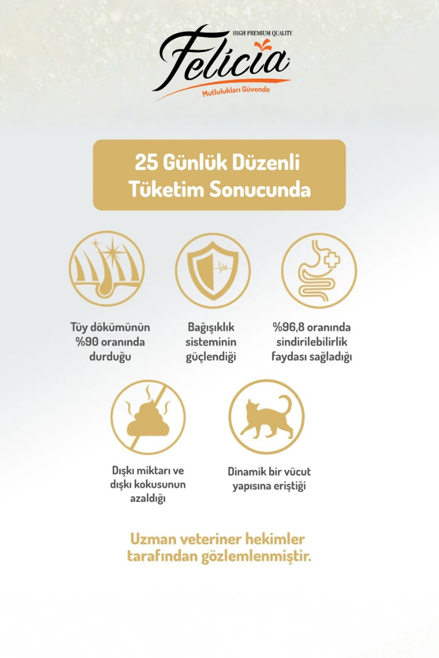 5 kg Somonlu Düşük Tahıllı Yetişkin Kısır Kedi Maması 25li Kedi Ödülü Krema 15li Lolipop