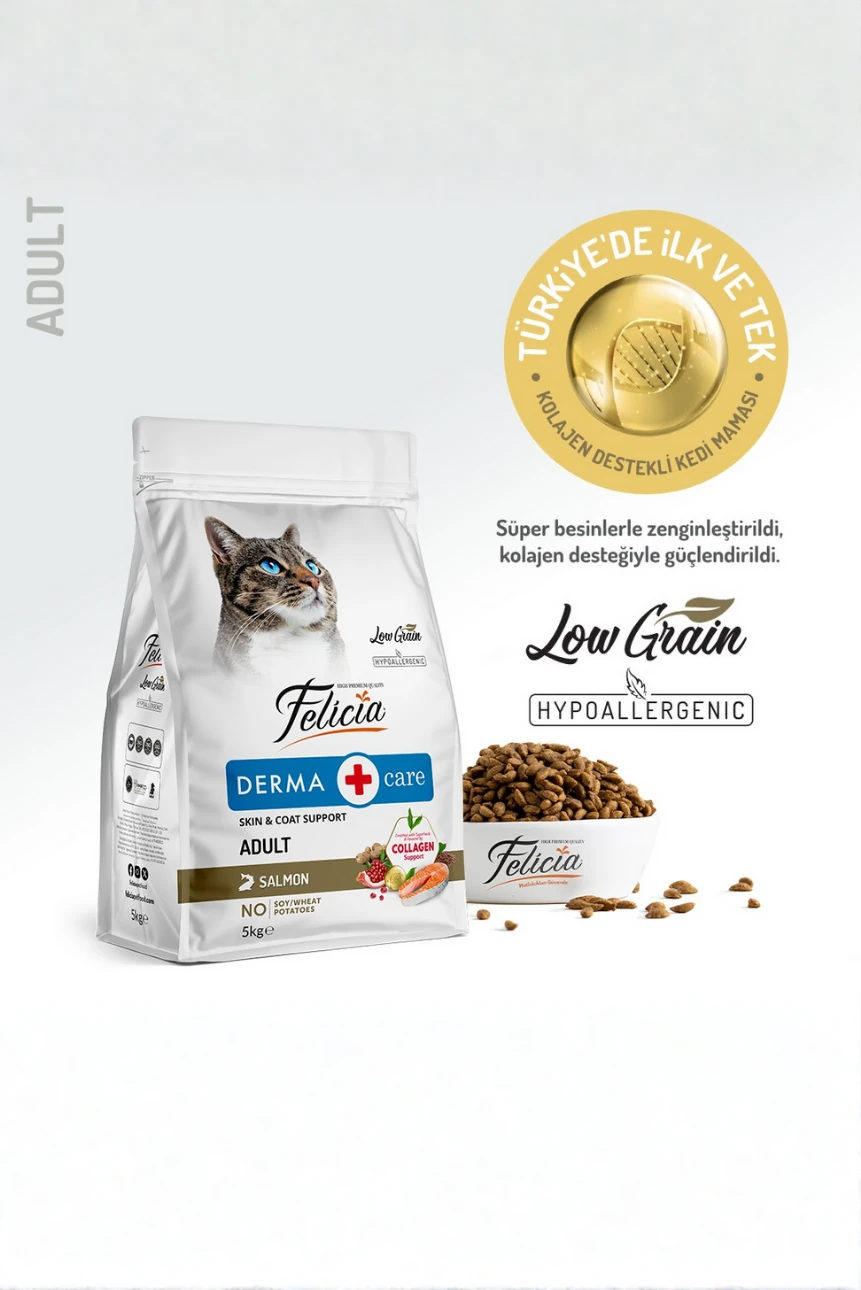 5 kg Somonlu Hipoalerjenik Düşük Tahıllı Yetişkin Kedi Maması 25li Kedi Ödülü Krema 15li Lolipop