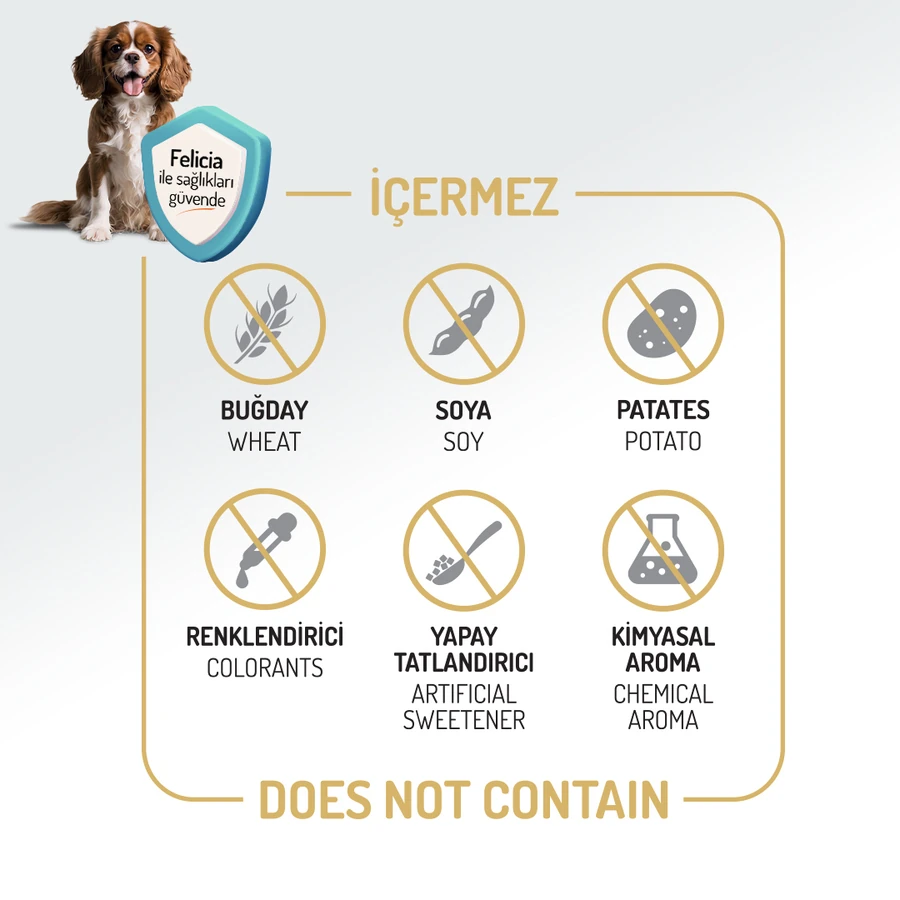 Kolajenli Somonlu Az Tahıllı Small/Mini Yetişkin Köpek Maması /Mini HypoAllergenic Köpek Maması 3Kg + 4 ADET Wanpy Ezme 90gr