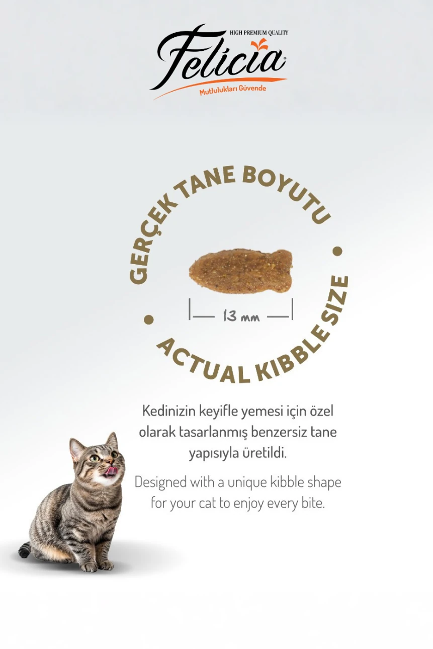 5 kg Somonlu Hipoalerjenik Düşük Tahıllı Yetişkin Kedi Maması 25li Kedi Ödülü Krema 15li Lolipop